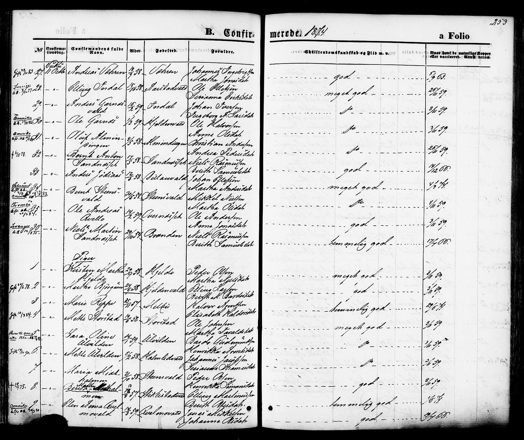 Ministerialprotokoller, klokkerbøker og fødselsregistre - Nord-Trøndelag, AV/SAT-A-1458/723/L0242: Parish register (official) no. 723A11, 1870-1880, p. 253