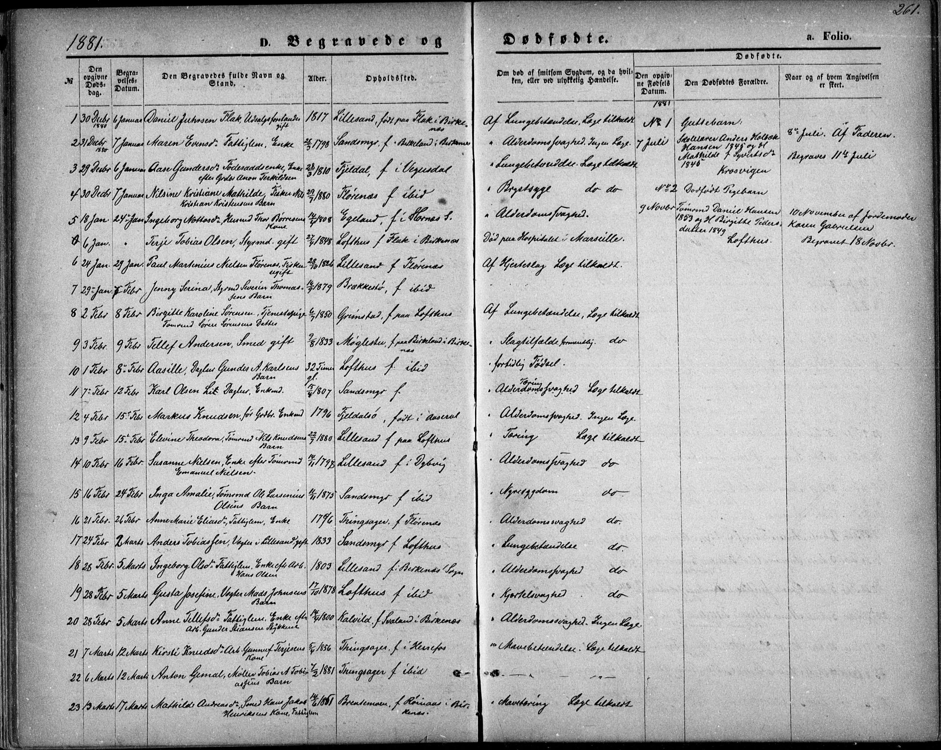 Vestre Moland sokneprestkontor, SAK/1111-0046/F/Fb/Fbb/L0005: Parish register (copy) no. B 5, 1872-1883, p. 261