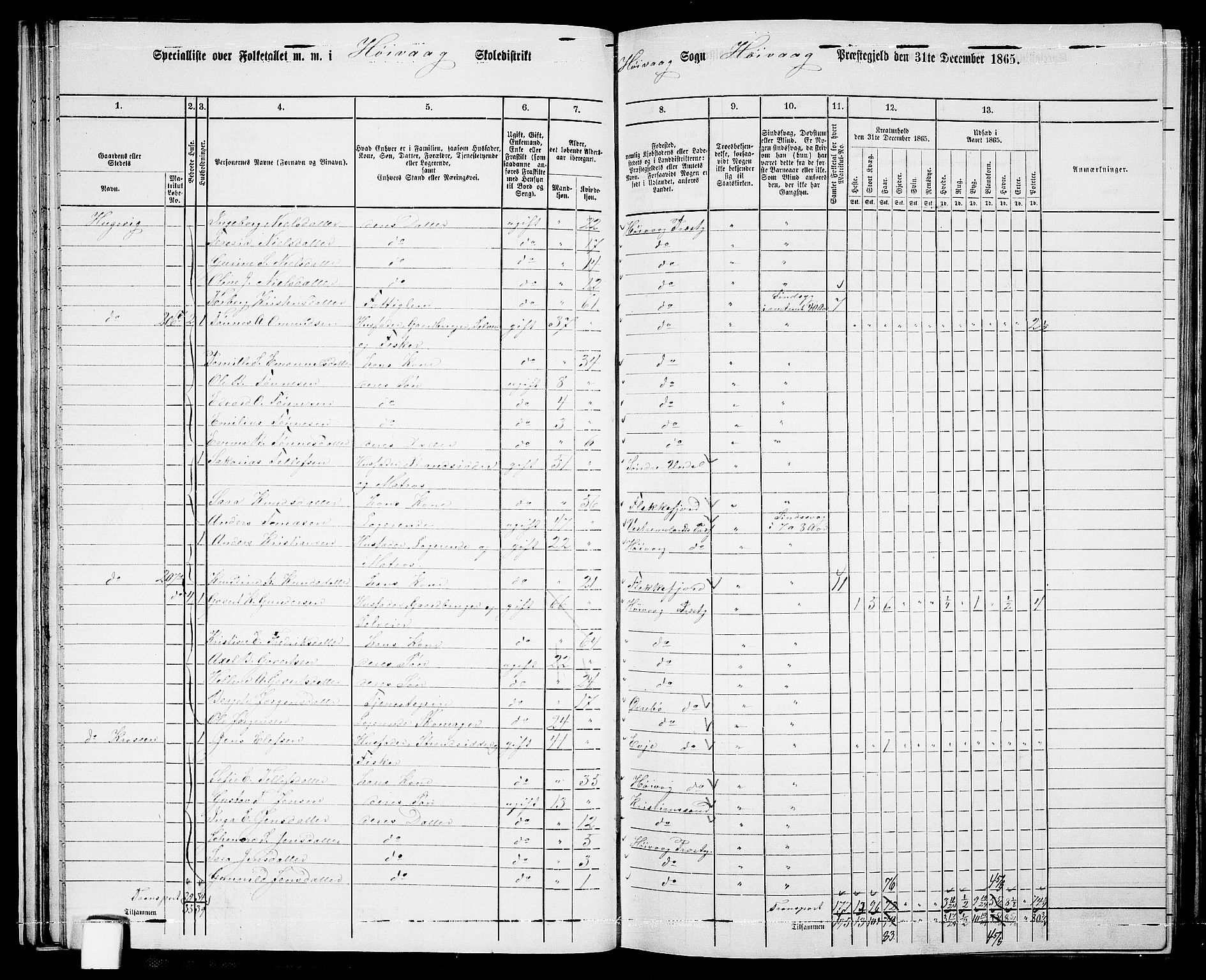 RA, 1865 census for Høvåg, 1865, p. 42