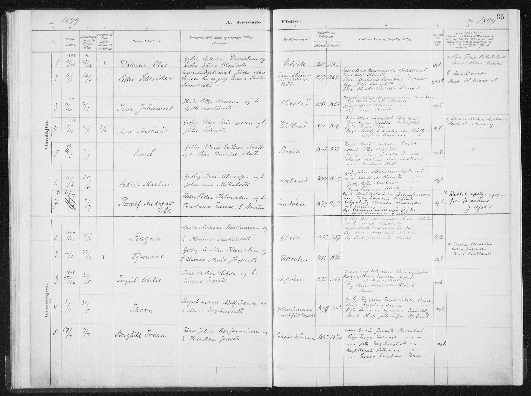 Ministerialprotokoller, klokkerbøker og fødselsregistre - Nord-Trøndelag, SAT/A-1458/771/L0597: Parish register (official) no. 771A04, 1885-1910, p. 35