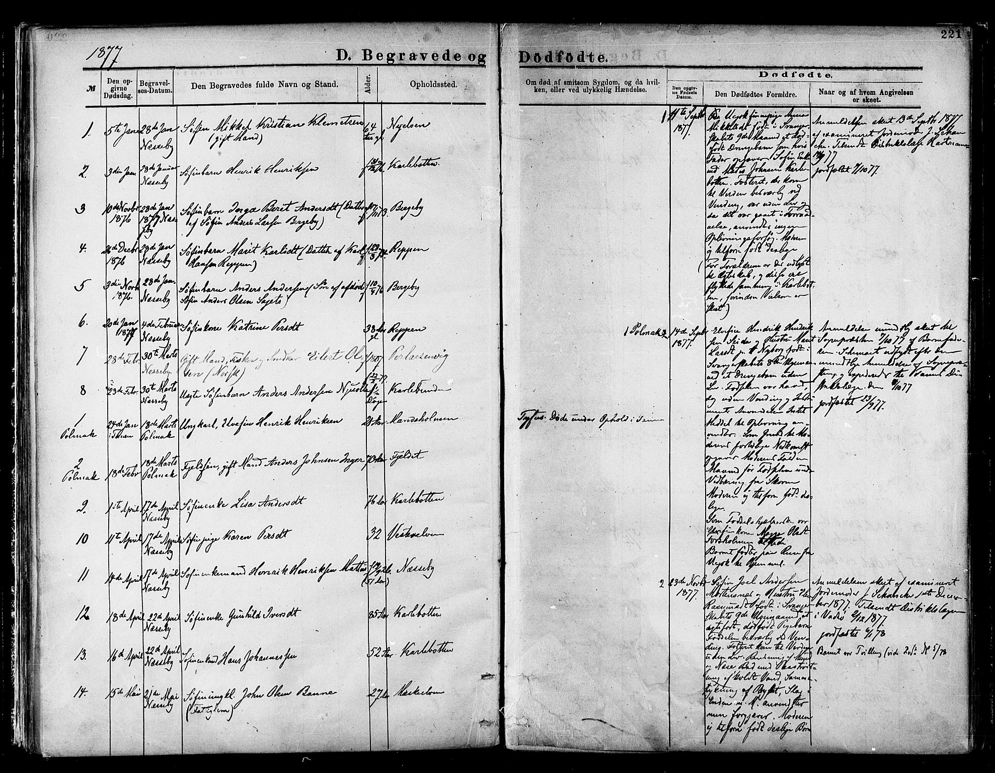 Nesseby sokneprestkontor, SATØ/S-1330/H/Ha/L0004kirke: Parish register (official) no. 4, 1877-1884, p. 221