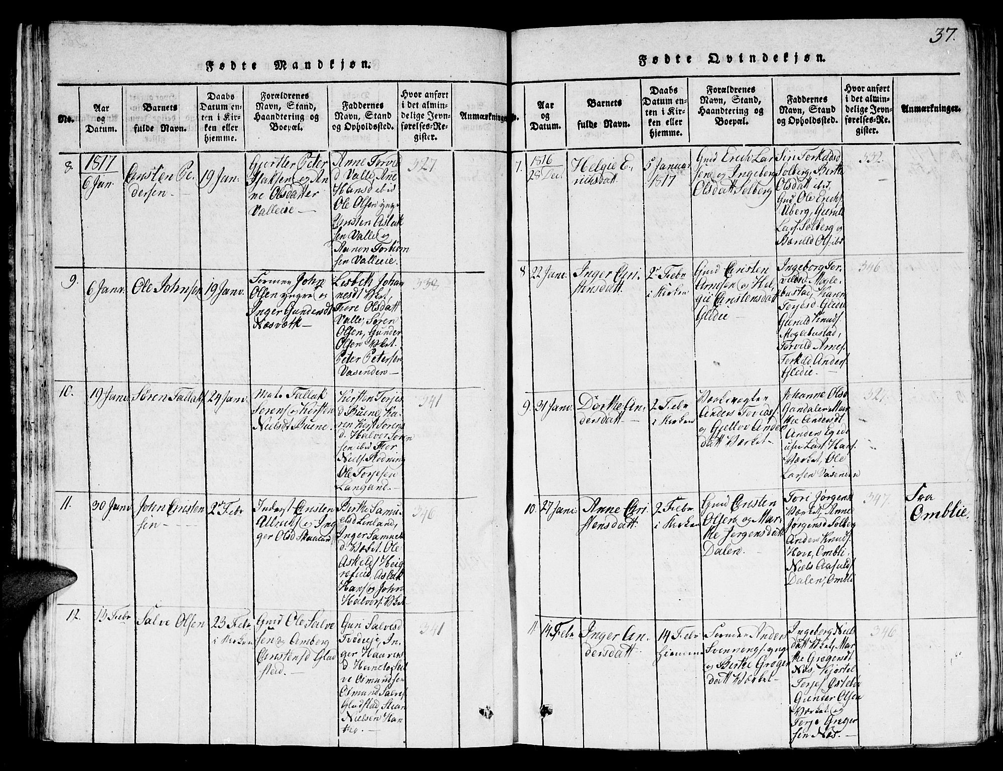 Holt sokneprestkontor, SAK/1111-0021/F/Fb/L0006: Parish register (copy) no. B 6, 1813-1823, p. 37