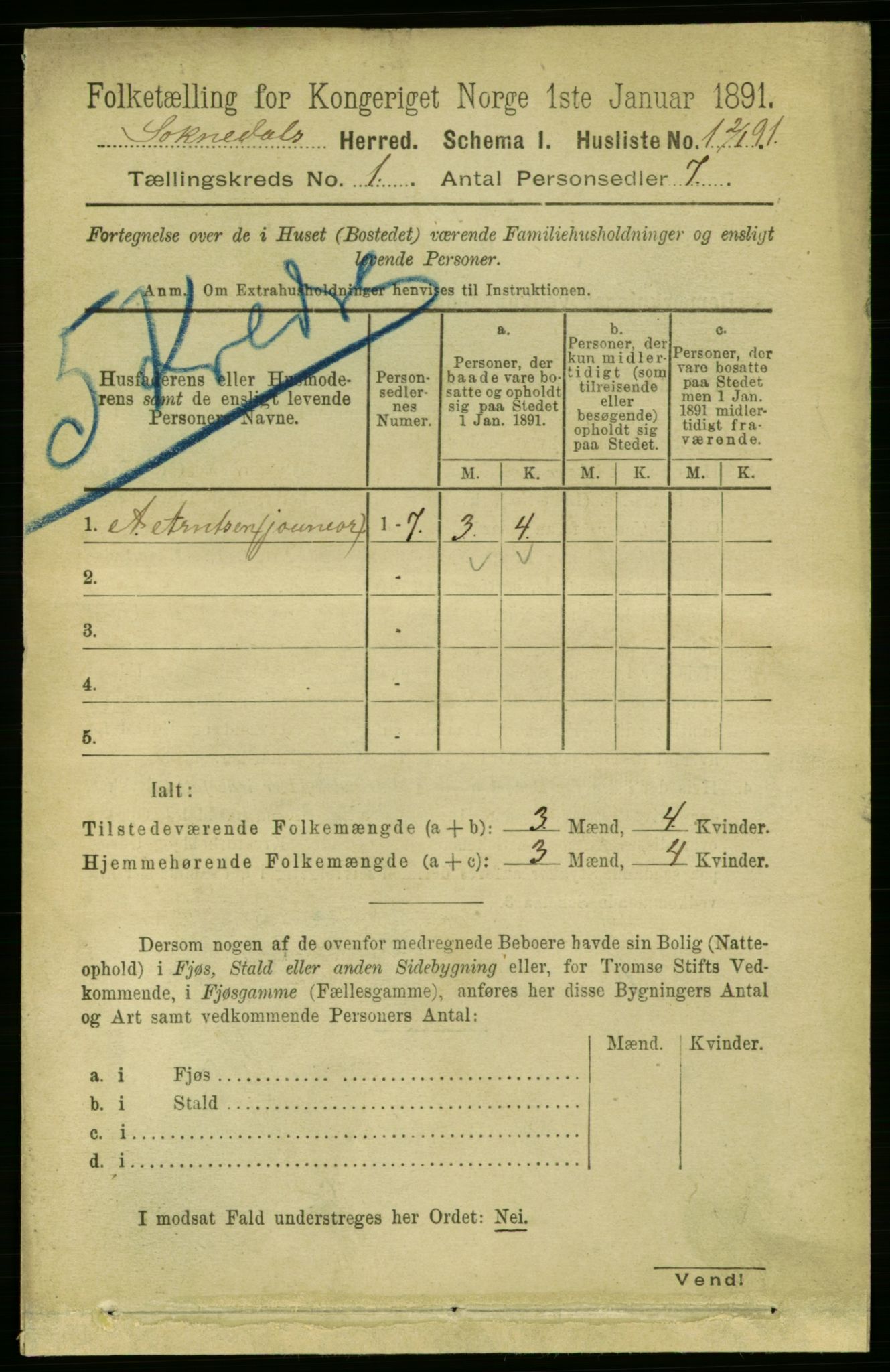 RA, 1891 census for 1649 Soknedal, 1891, p. 17