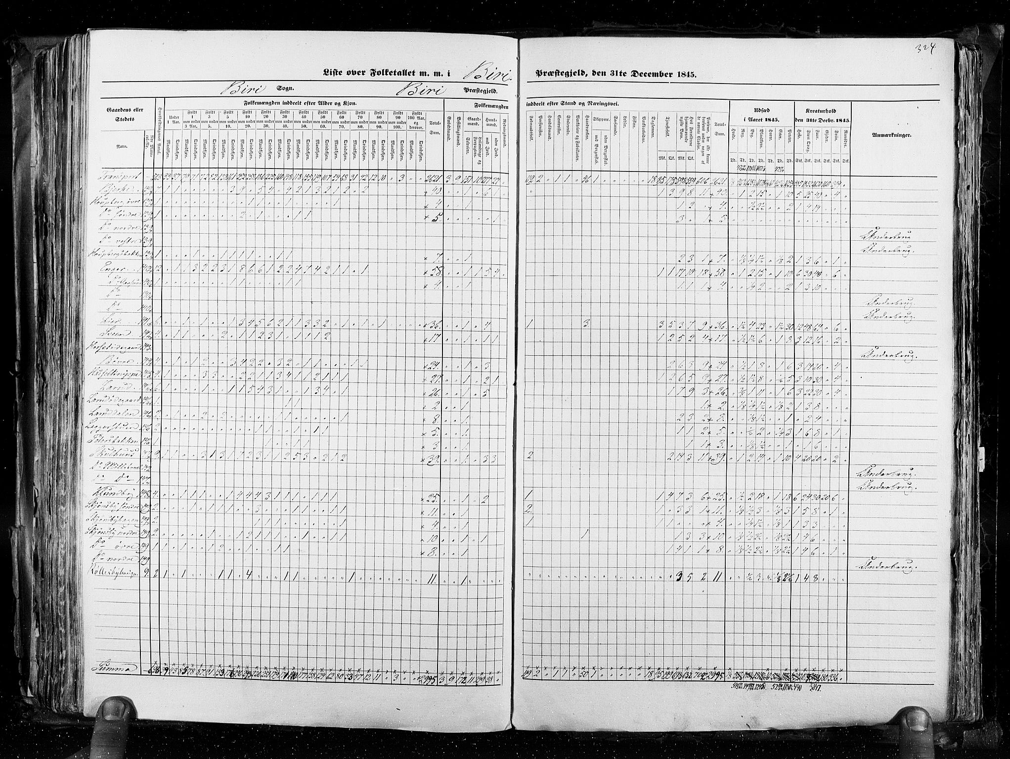 RA, Census 1845, vol. 3: Hedemarken amt og Kristians amt, 1845, p. 324