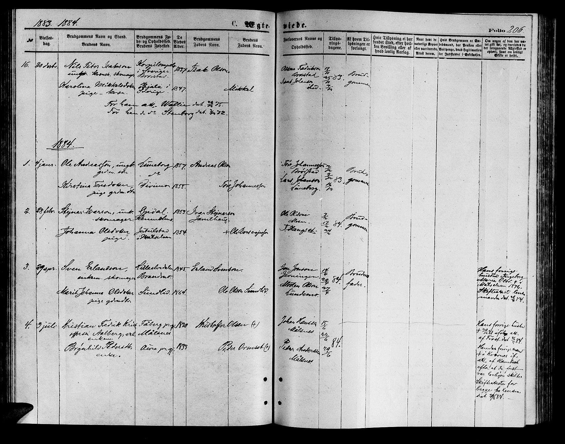 Målselv sokneprestembete, SATØ/S-1311/G/Ga/Gab/L0003klokker: Parish register (copy) no. 3, 1874-1885, p. 206