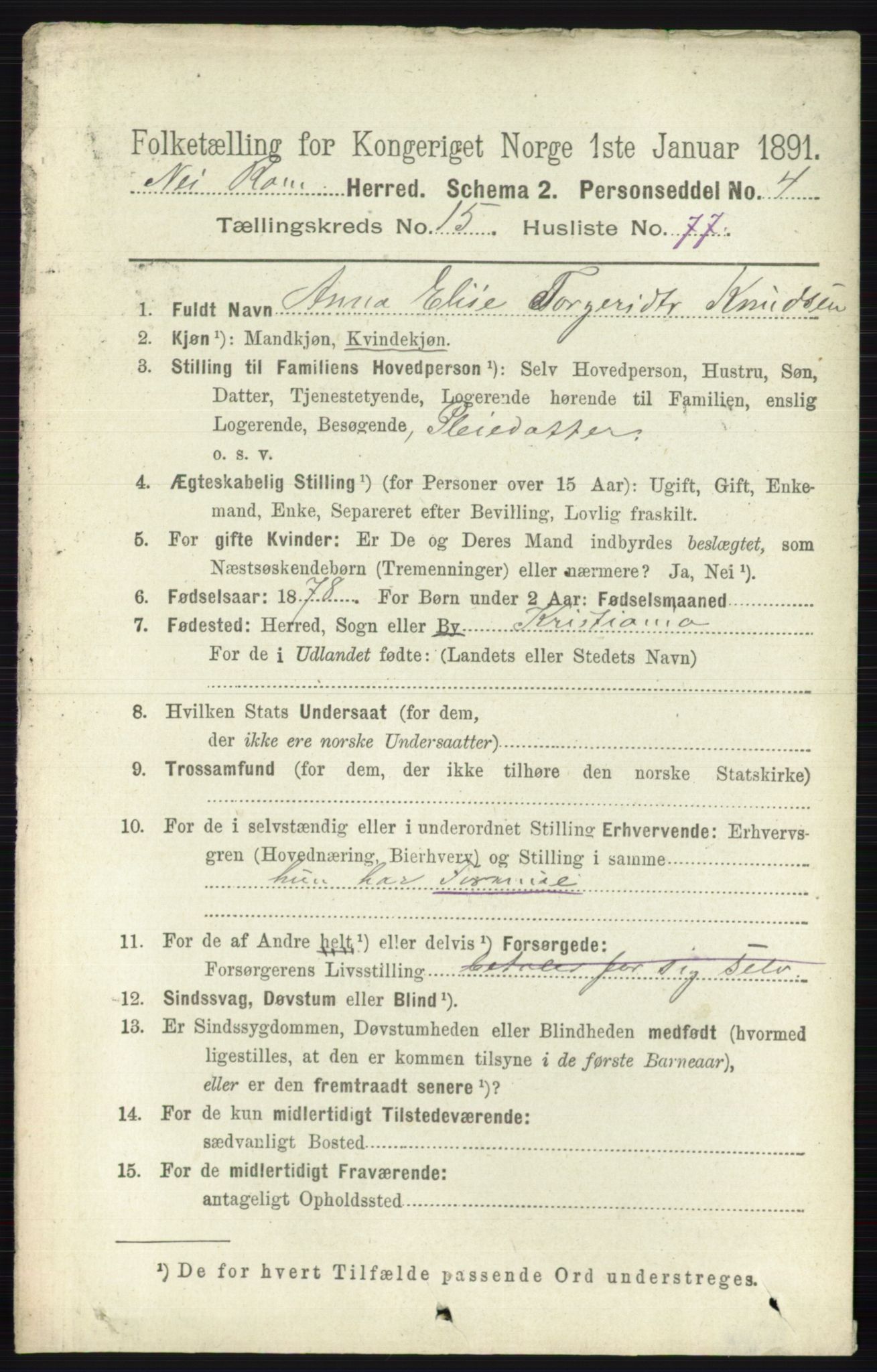 RA, 1891 census for 0236 Nes, 1891, p. 9496