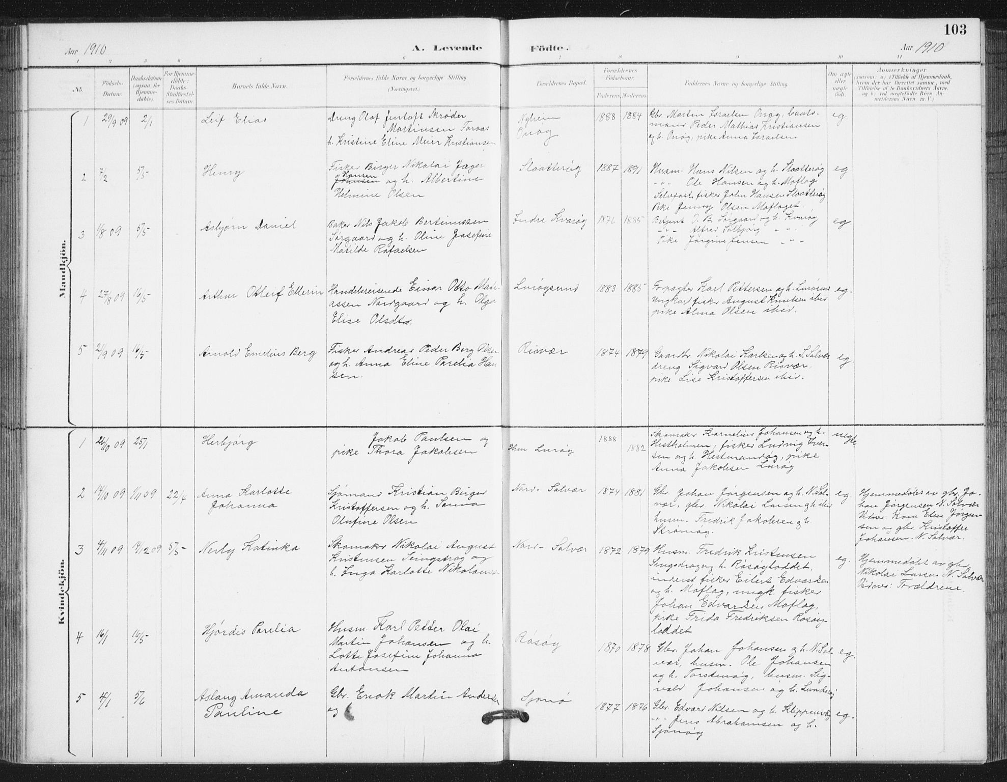 Ministerialprotokoller, klokkerbøker og fødselsregistre - Nordland, SAT/A-1459/839/L0573: Parish register (copy) no. 839C03, 1892-1917, p. 103