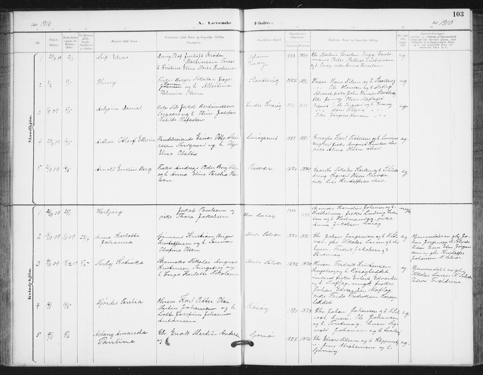 Ministerialprotokoller, klokkerbøker og fødselsregistre - Nordland, AV/SAT-A-1459/839/L0573: Parish register (copy) no. 839C03, 1892-1917, p. 103