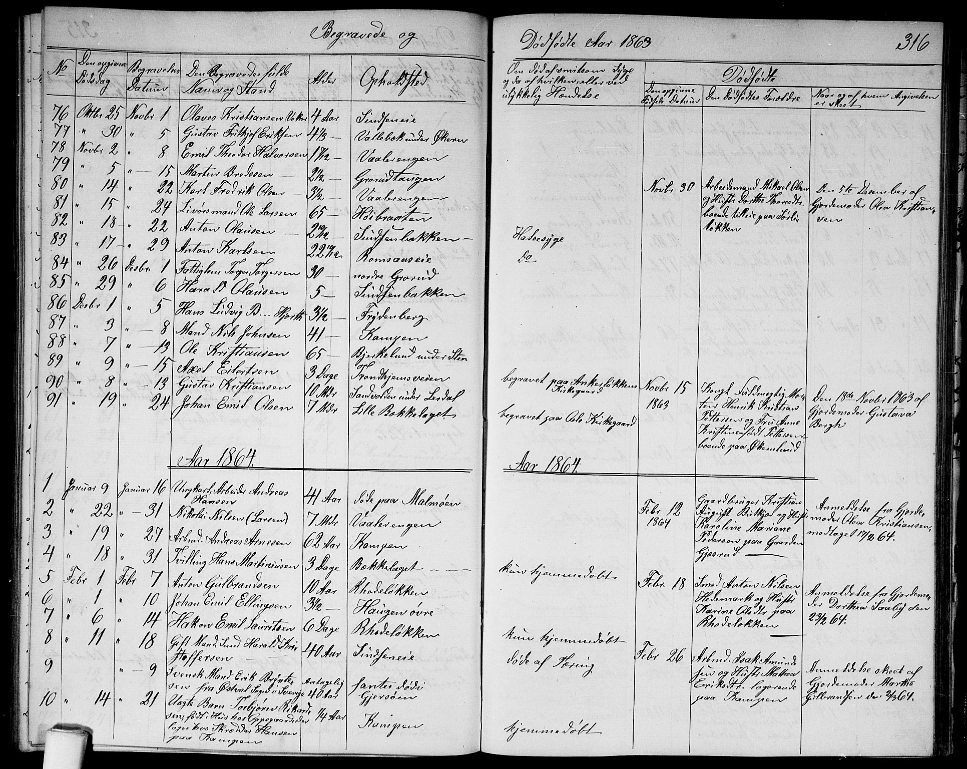 Østre Aker prestekontor Kirkebøker, SAO/A-10840/G/Ga/L0002: Parish register (copy) no. I 2, 1861-1867, p. 316