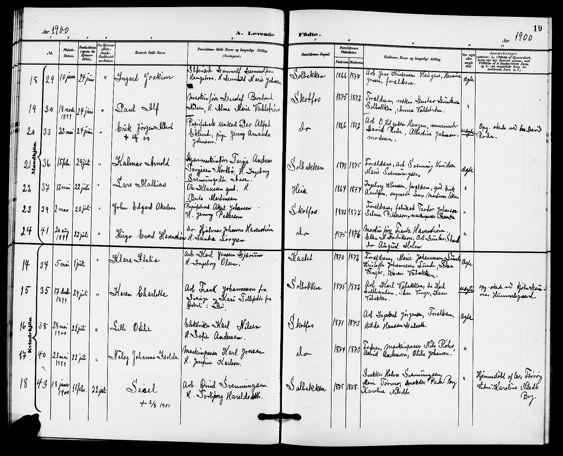 Solum kirkebøker, AV/SAKO-A-306/G/Gb/L0004: Parish register (copy) no. II 4, 1898-1905, p. 19