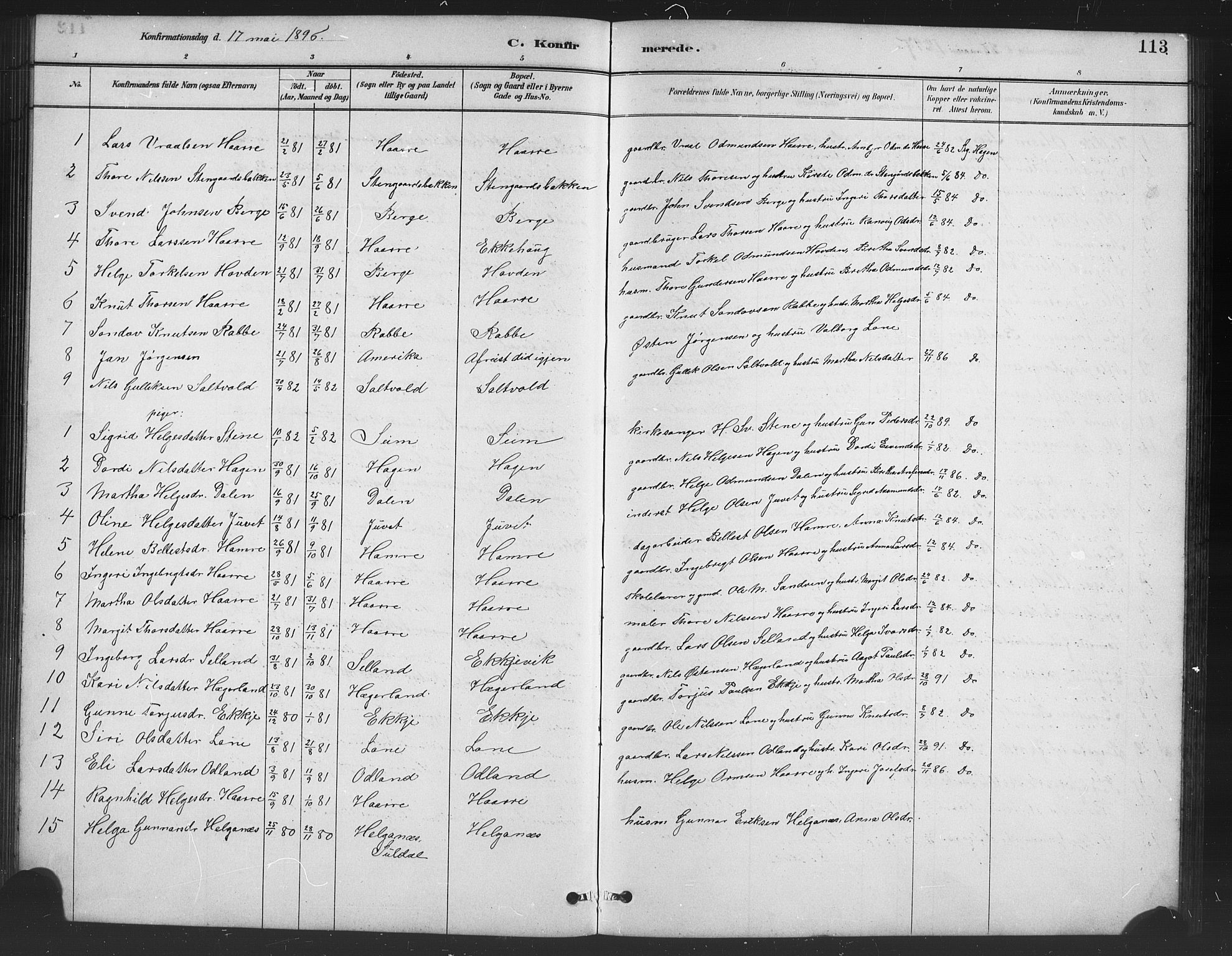 Røldal sokneprestembete, SAB/A-100247: Parish register (copy) no. A 3, 1887-1917, p. 113