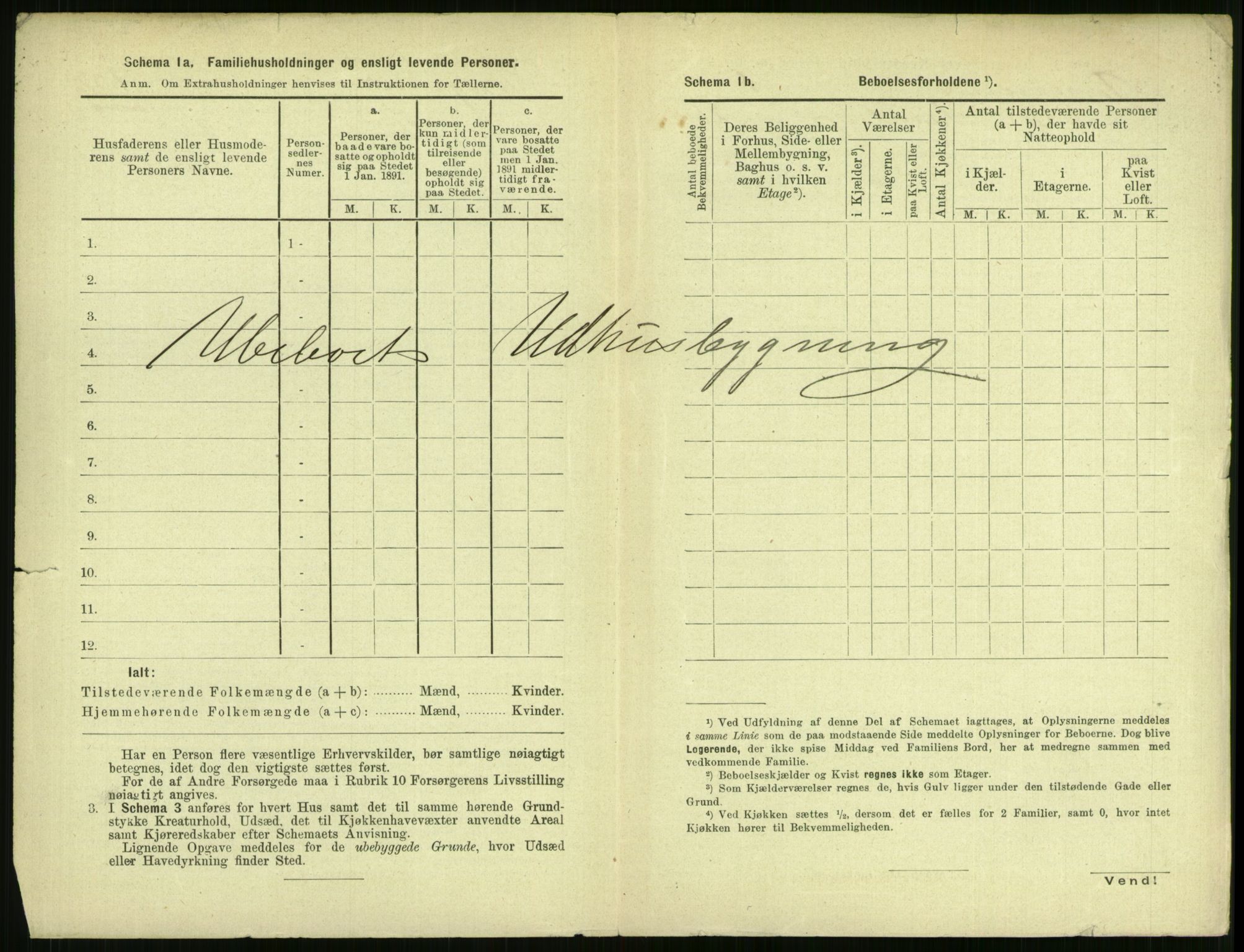 RA, 1891 census for 0805 Porsgrunn, 1891, p. 294