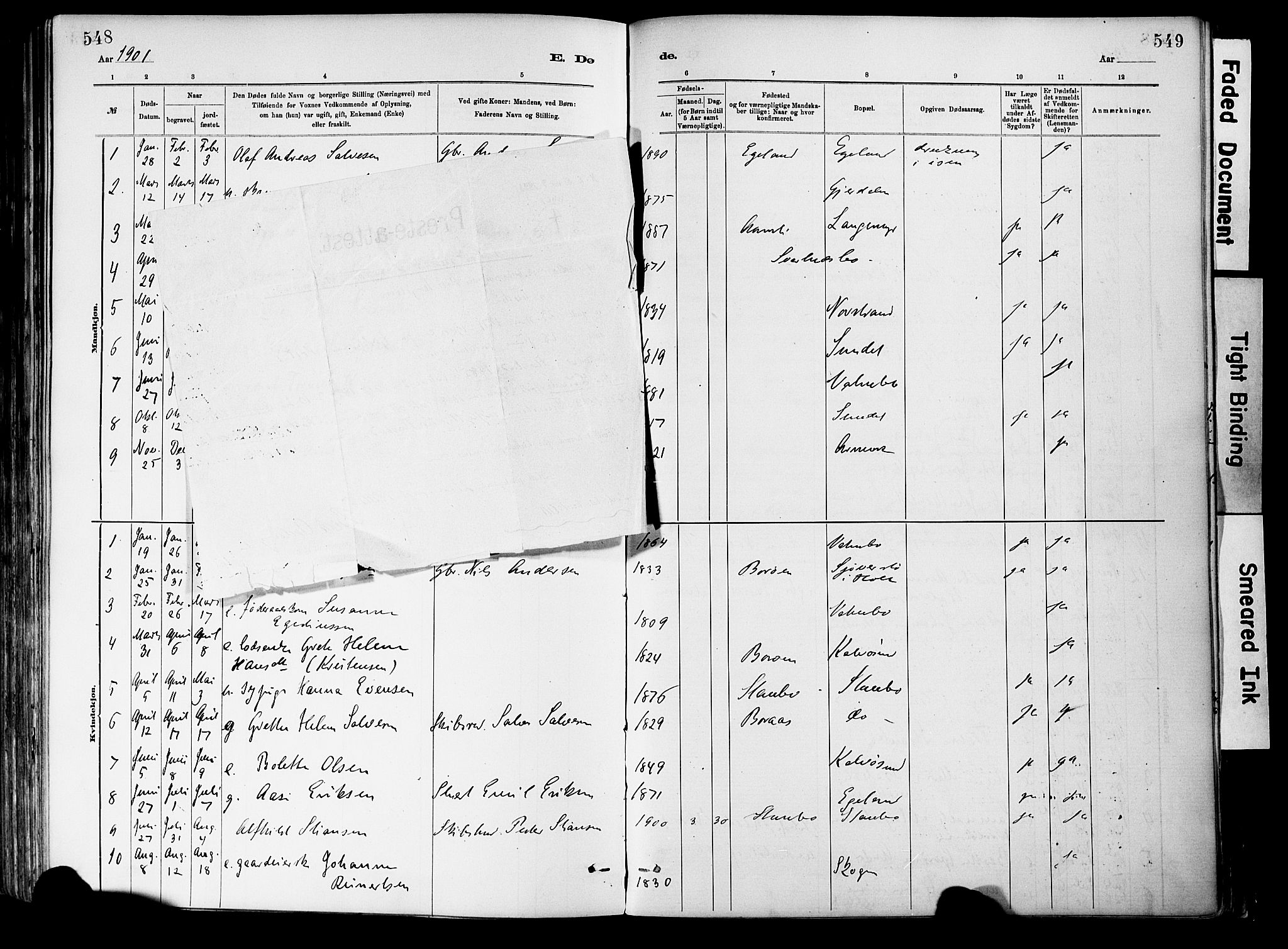 Dypvåg sokneprestkontor, SAK/1111-0007/F/Fa/Fab/L0001: Parish register (official) no. A 1, 1885-1912, p. 548-549