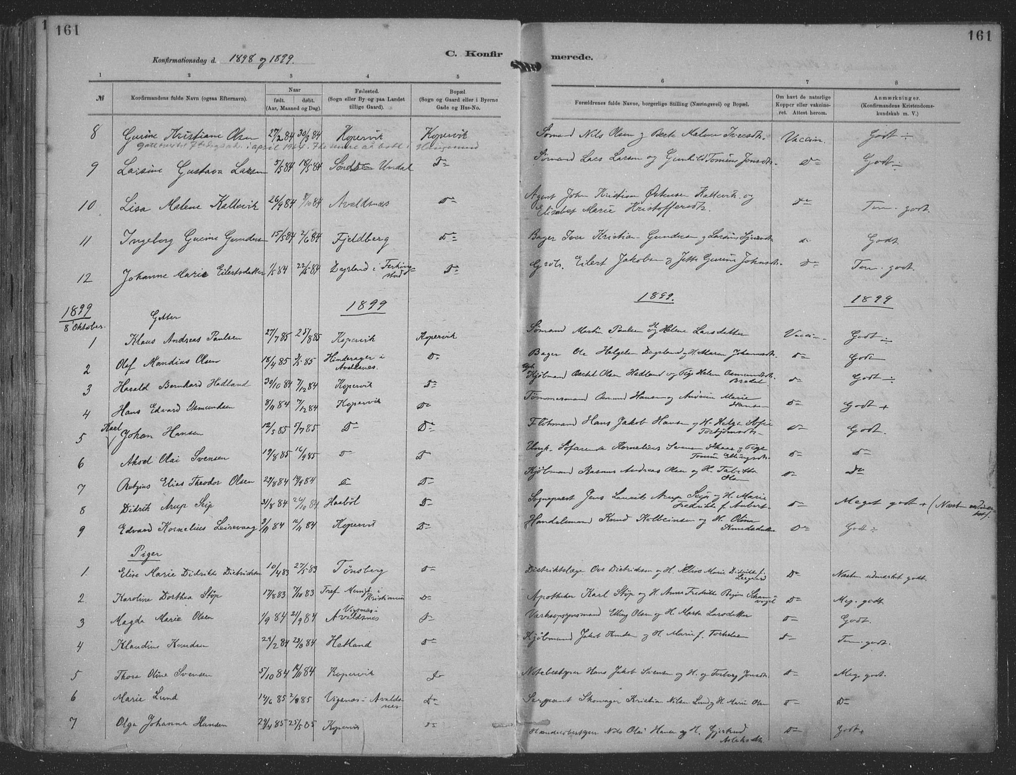 Kopervik sokneprestkontor, AV/SAST-A-101850/H/Ha/Haa/L0001: Parish register (official) no. A 1, 1880-1919, p. 161