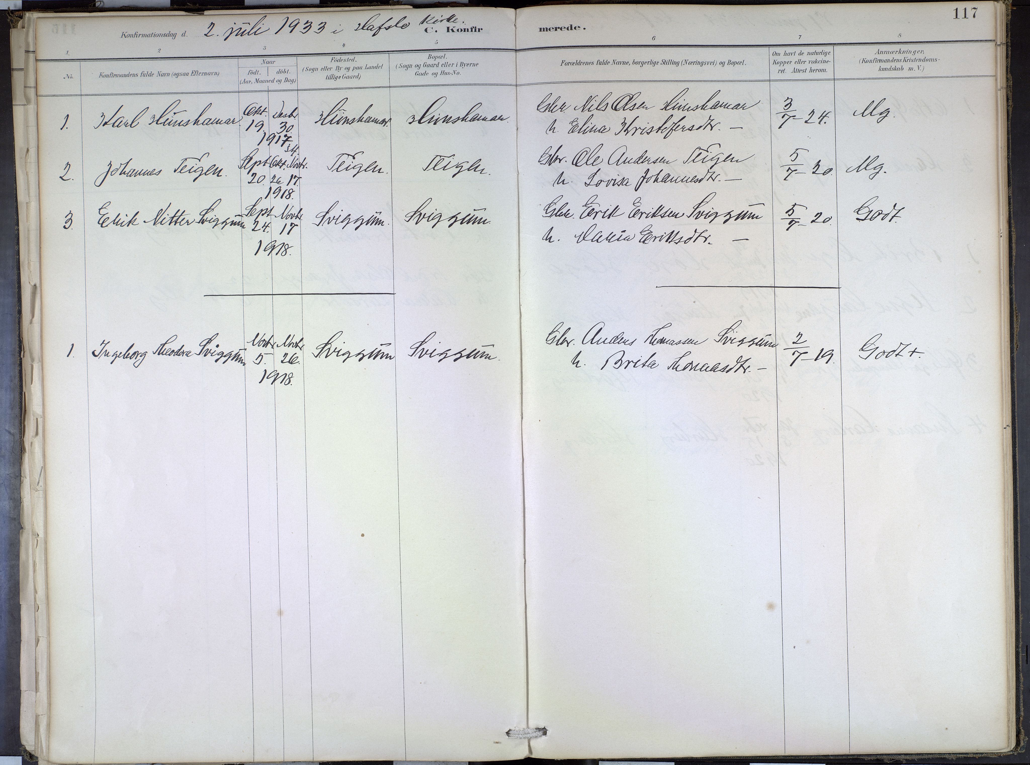 Hafslo sokneprestembete, SAB/A-80301/H/Haa/Haae/L0001: Parish register (official) no. E 1, 1886-1934, p. 117