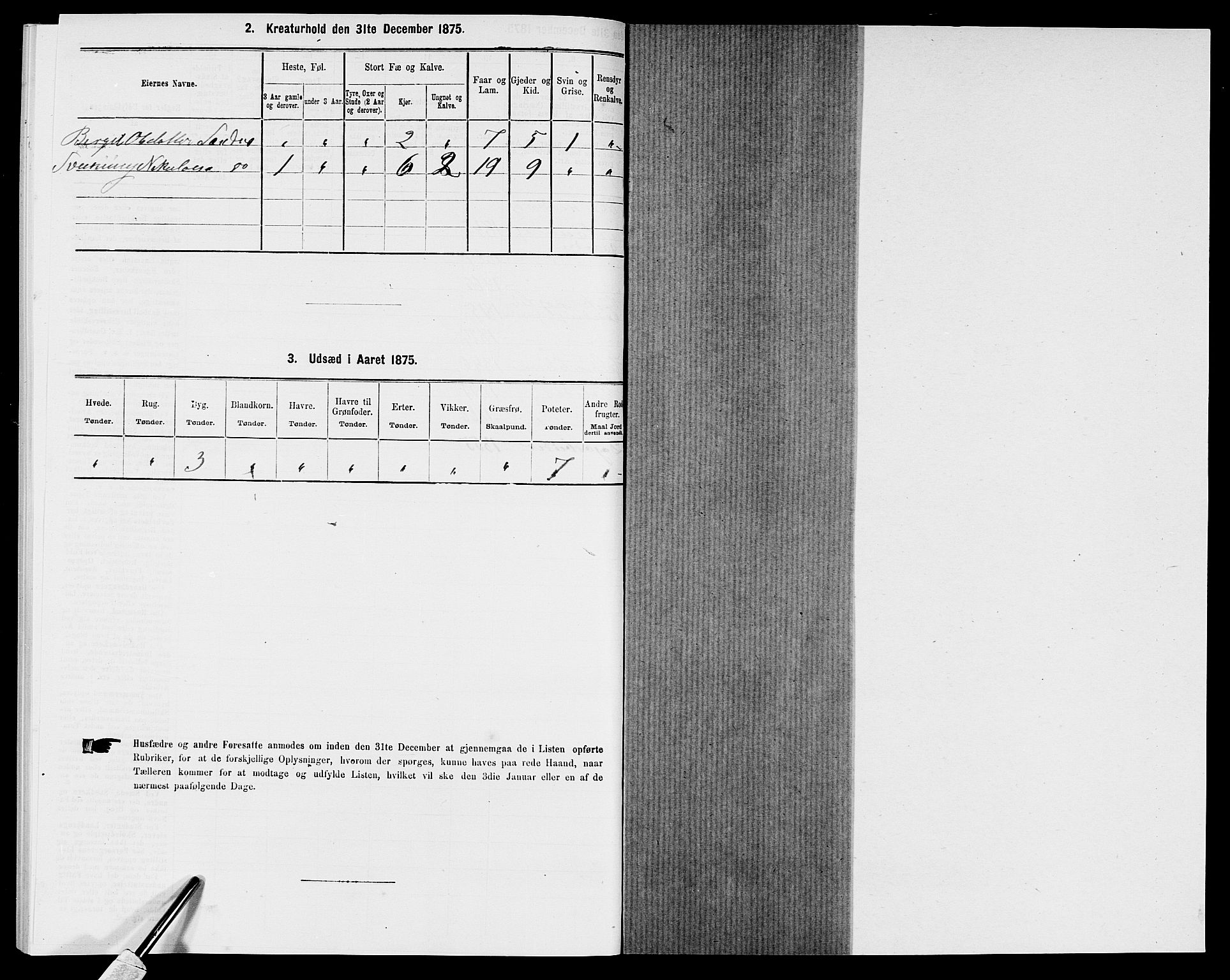 SAK, 1875 census for 0938P Bygland, 1875, p. 396