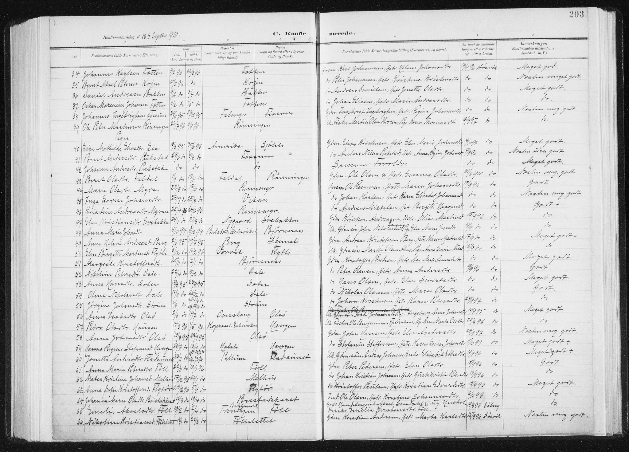 Ministerialprotokoller, klokkerbøker og fødselsregistre - Sør-Trøndelag, SAT/A-1456/647/L0635: Parish register (official) no. 647A02, 1896-1911, p. 203