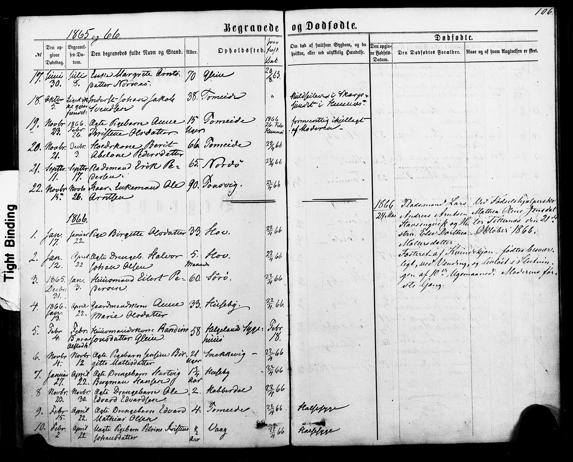 Ministerialprotokoller, klokkerbøker og fødselsregistre - Nordland, AV/SAT-A-1459/835/L0524: Parish register (official) no. 835A02, 1865-1880, p. 106