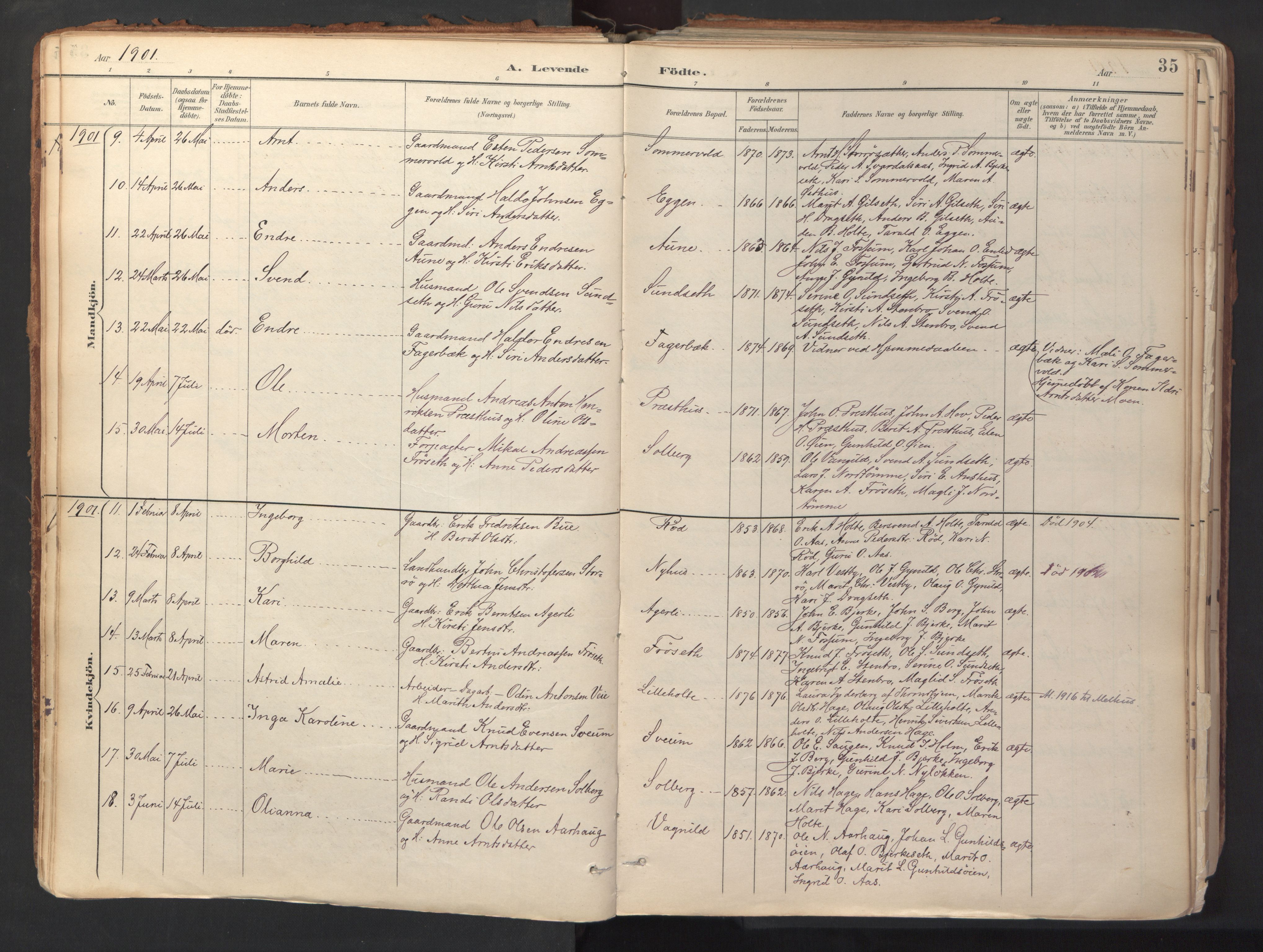Ministerialprotokoller, klokkerbøker og fødselsregistre - Sør-Trøndelag, SAT/A-1456/689/L1041: Parish register (official) no. 689A06, 1891-1923, p. 35