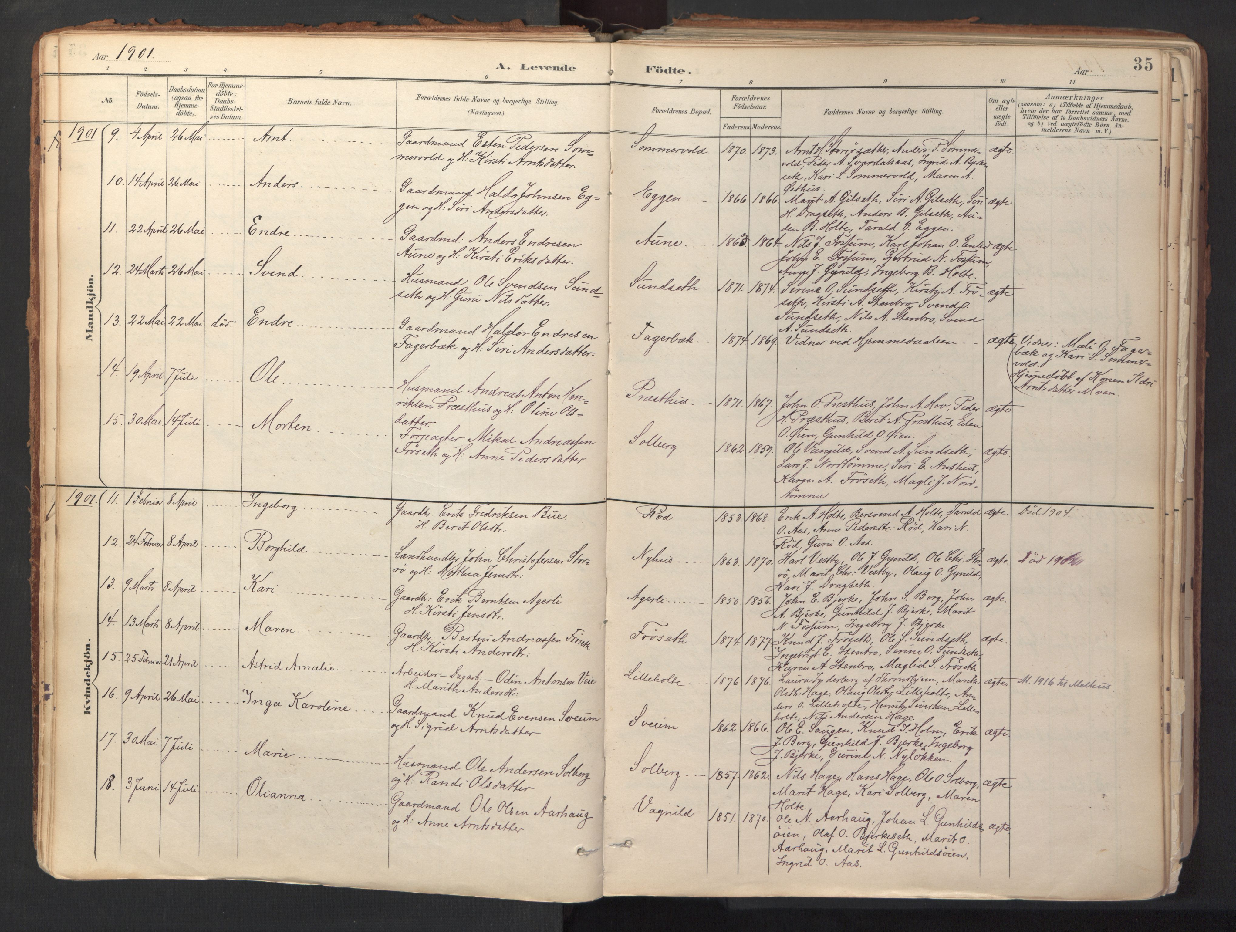 Ministerialprotokoller, klokkerbøker og fødselsregistre - Sør-Trøndelag, AV/SAT-A-1456/689/L1041: Parish register (official) no. 689A06, 1891-1923, p. 35