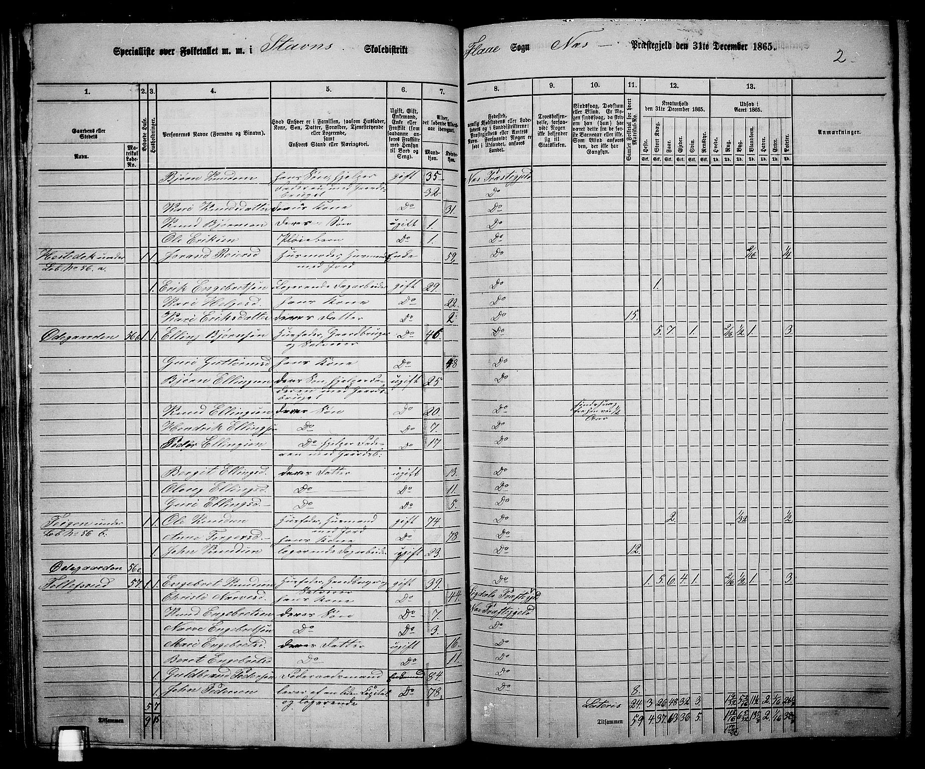 RA, 1865 census for Nes, 1865, p. 80