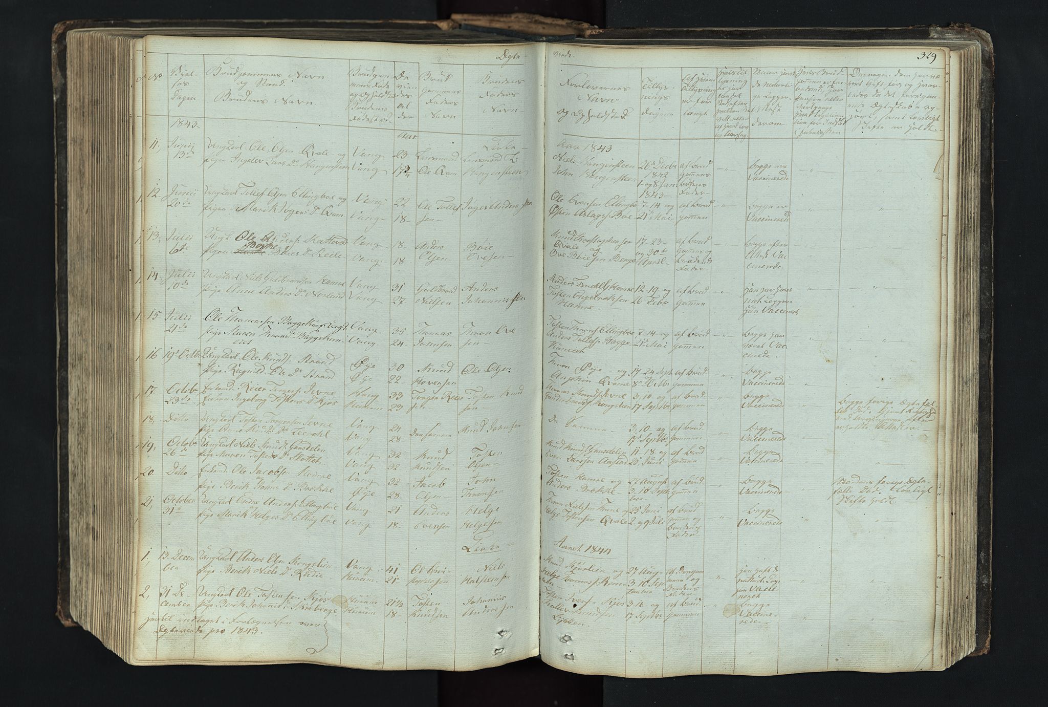 Vang prestekontor, Valdres, SAH/PREST-140/H/Hb/L0004: Parish register (copy) no. 4, 1835-1892, p. 329