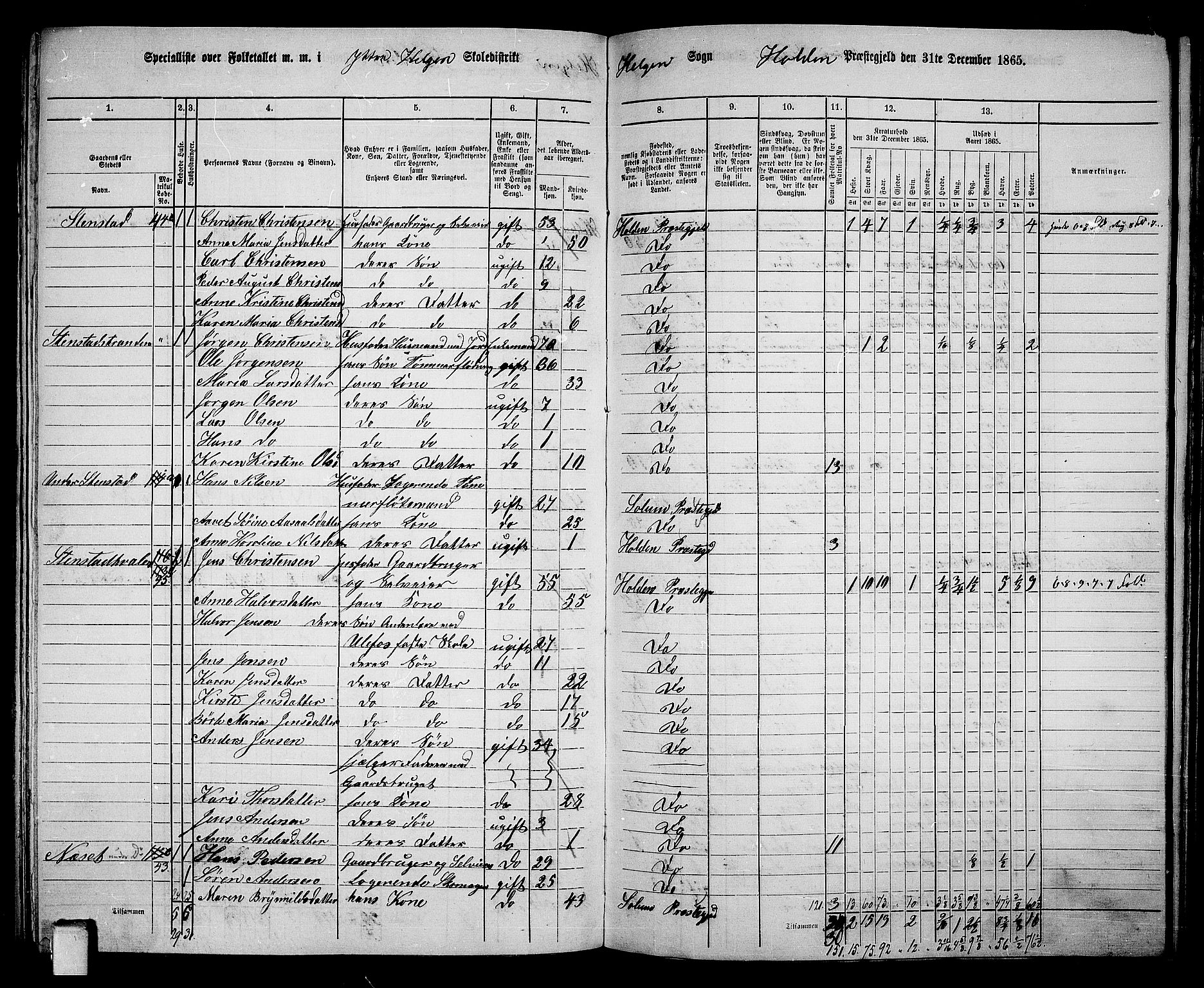 RA, 1865 census for Holla, 1865, p. 106