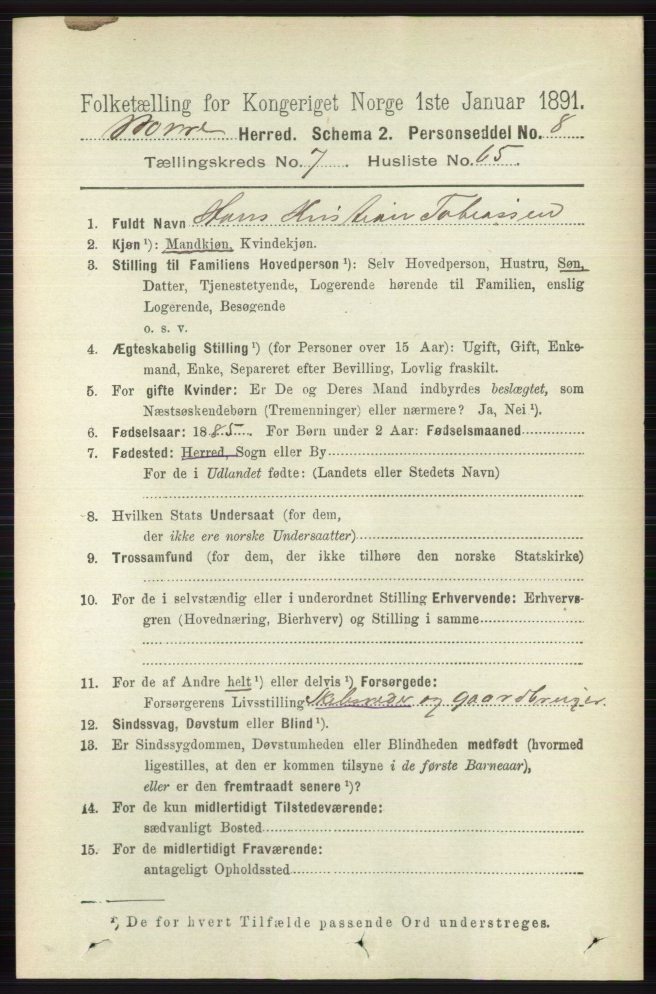 RA, 1891 census for 0717 Borre, 1891, p. 3575