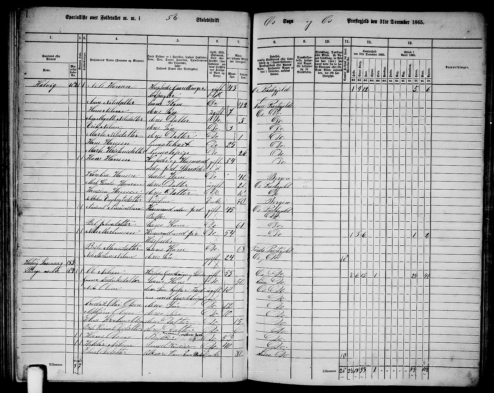 RA, 1865 census for Os, 1865, p. 87