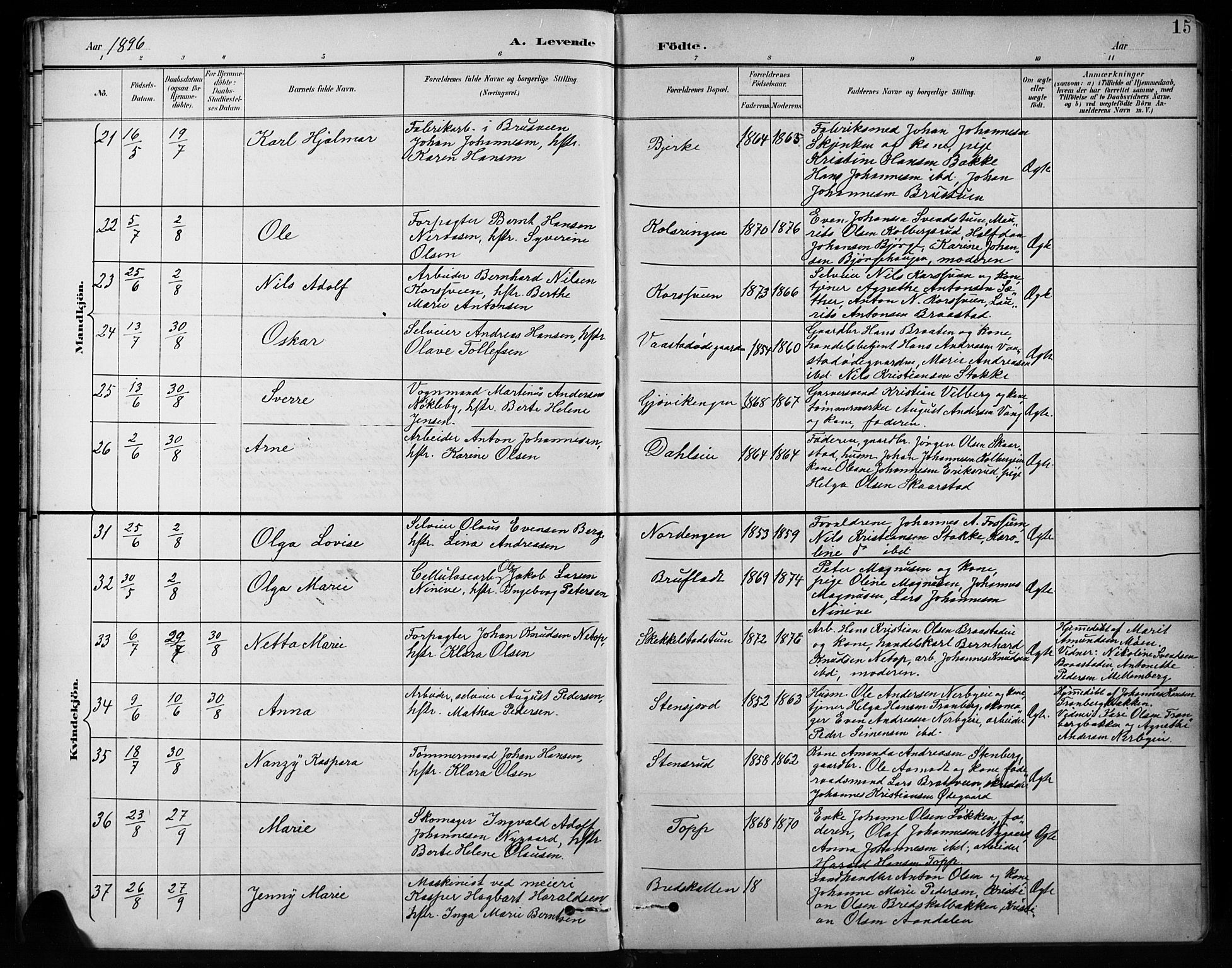 Vardal prestekontor, AV/SAH-PREST-100/H/Ha/Hab/L0010: Parish register (copy) no. 10, 1895-1903, p. 15