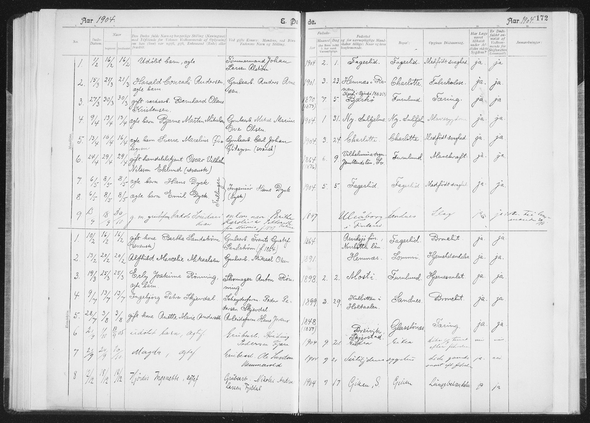 Ministerialprotokoller, klokkerbøker og fødselsregistre - Nordland, SAT/A-1459/850/L0711: Curate's parish register no. 850B01, 1902-1915, p. 172