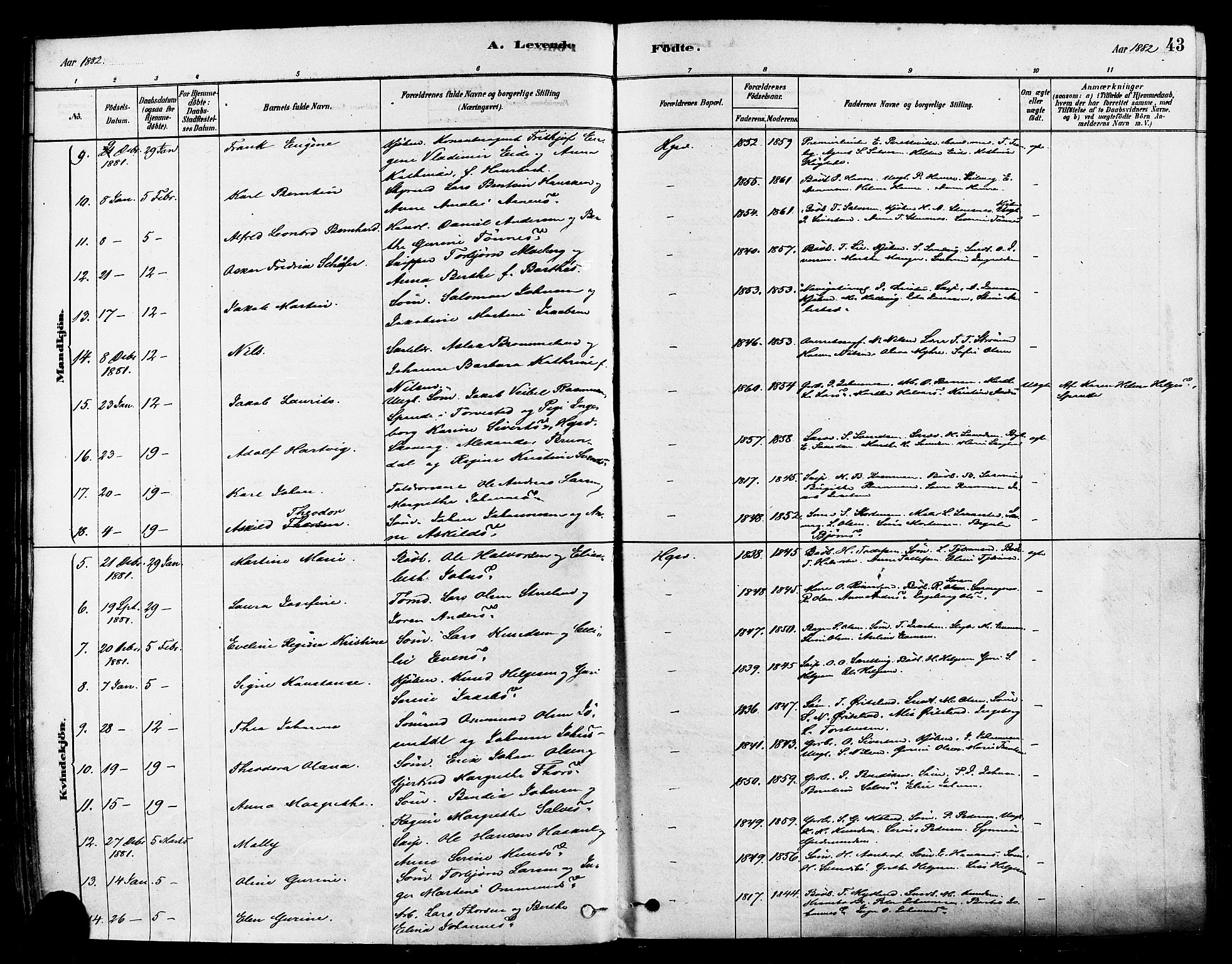 Haugesund sokneprestkontor, SAST/A -101863/H/Ha/Haa/L0001: Parish register (official) no. A 1, 1878-1885, p. 43