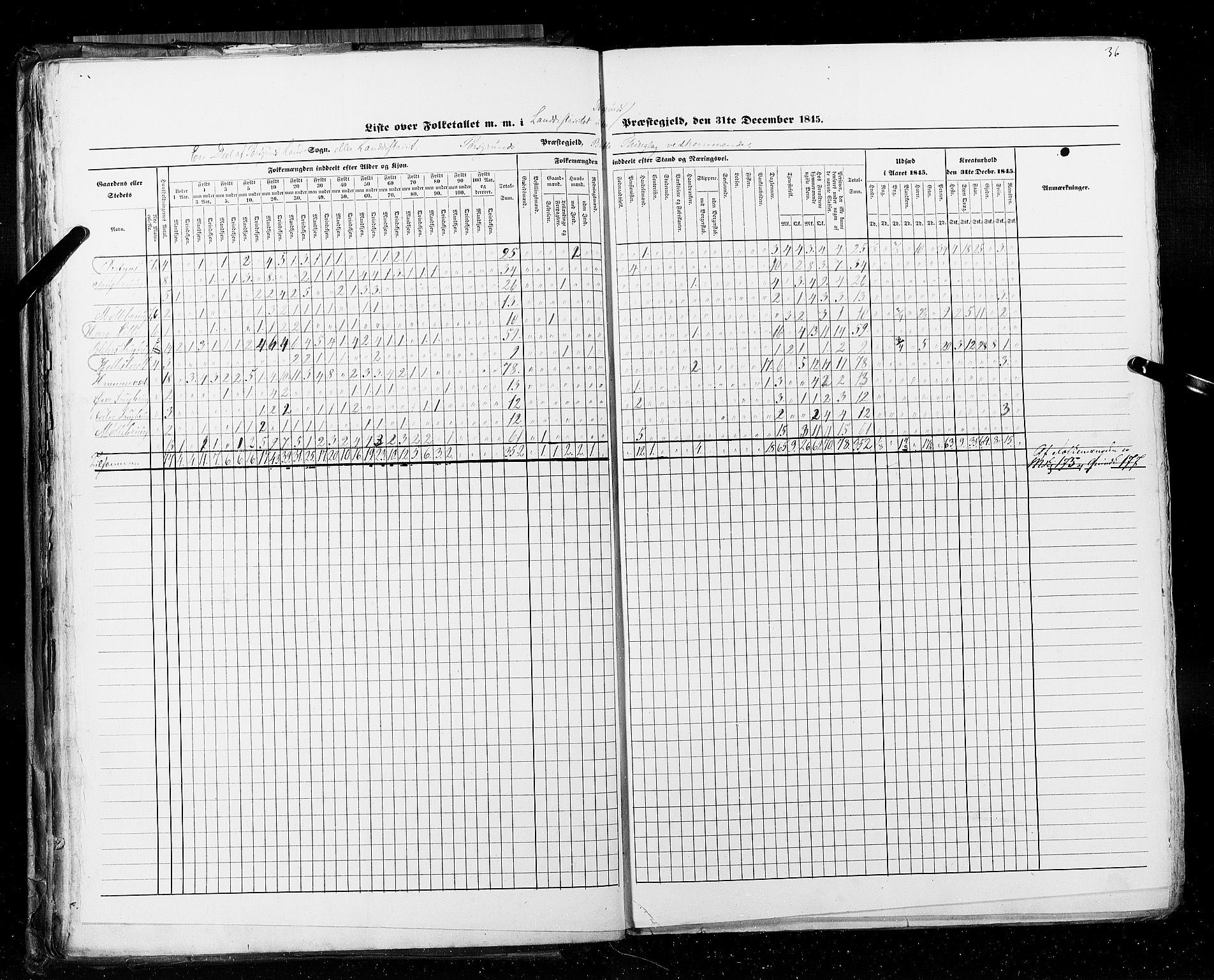 RA, Census 1845, vol. 5: Bratsberg amt og Nedenes og Råbyggelaget amt, 1845, p. 36