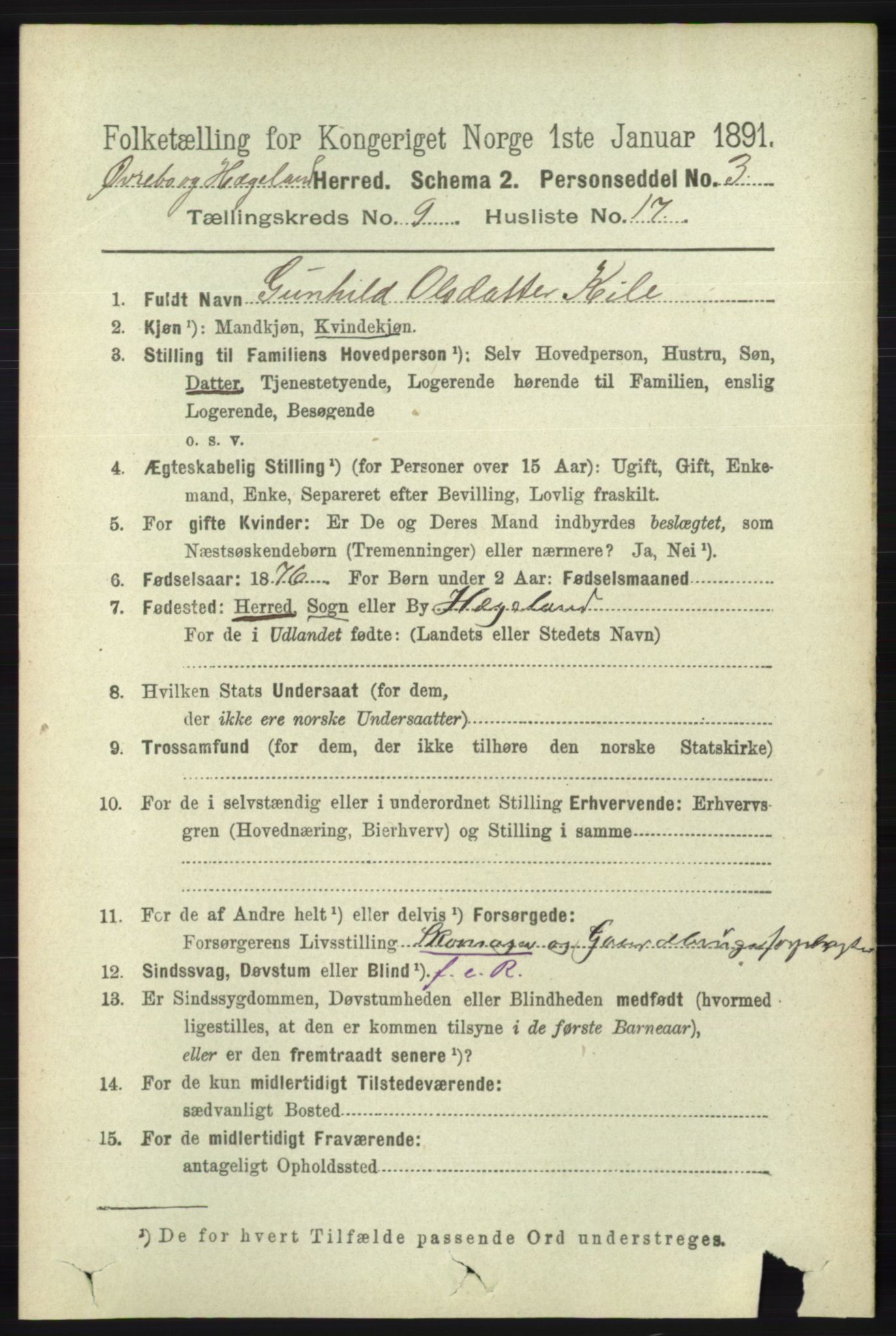 RA, 1891 census for 1016 Øvrebø og Hægeland, 1891, p. 1855