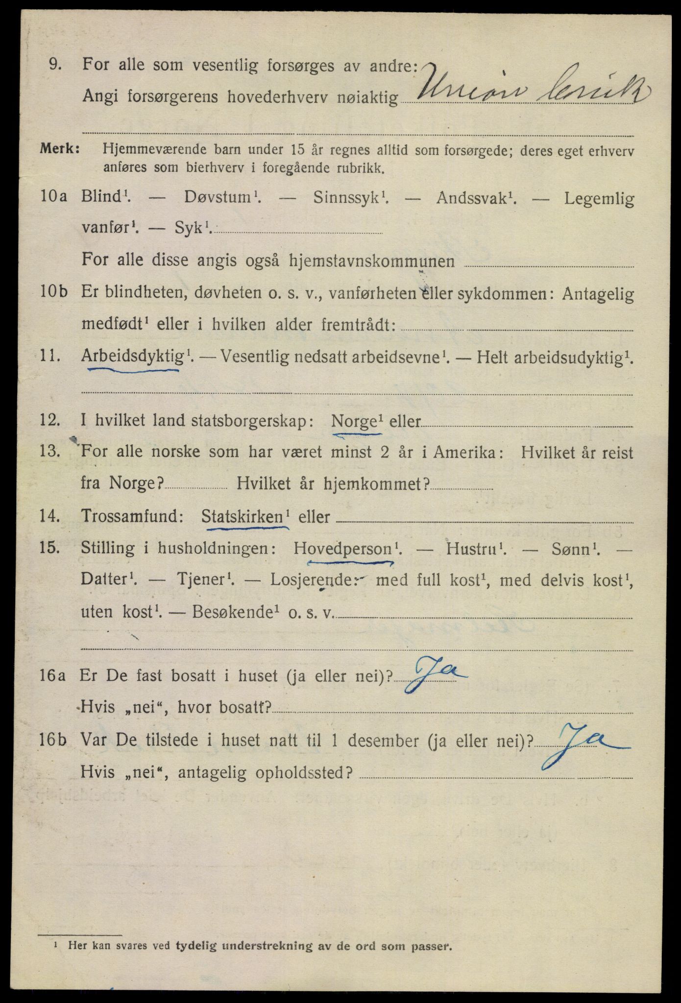 SAKO, 1920 census for Skien, 1920, p. 16943