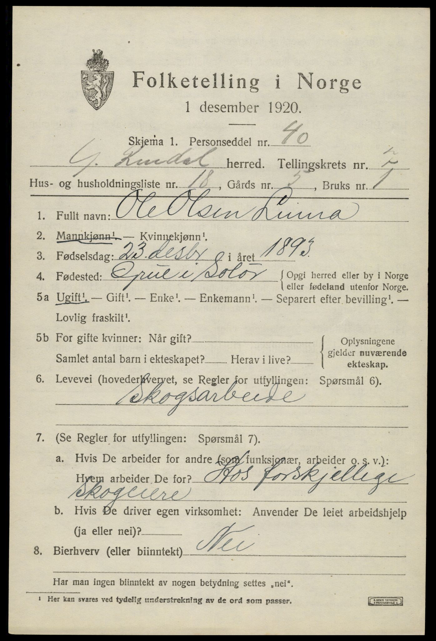 SAH, 1920 census for Ytre Rendal, 1920, p. 3913