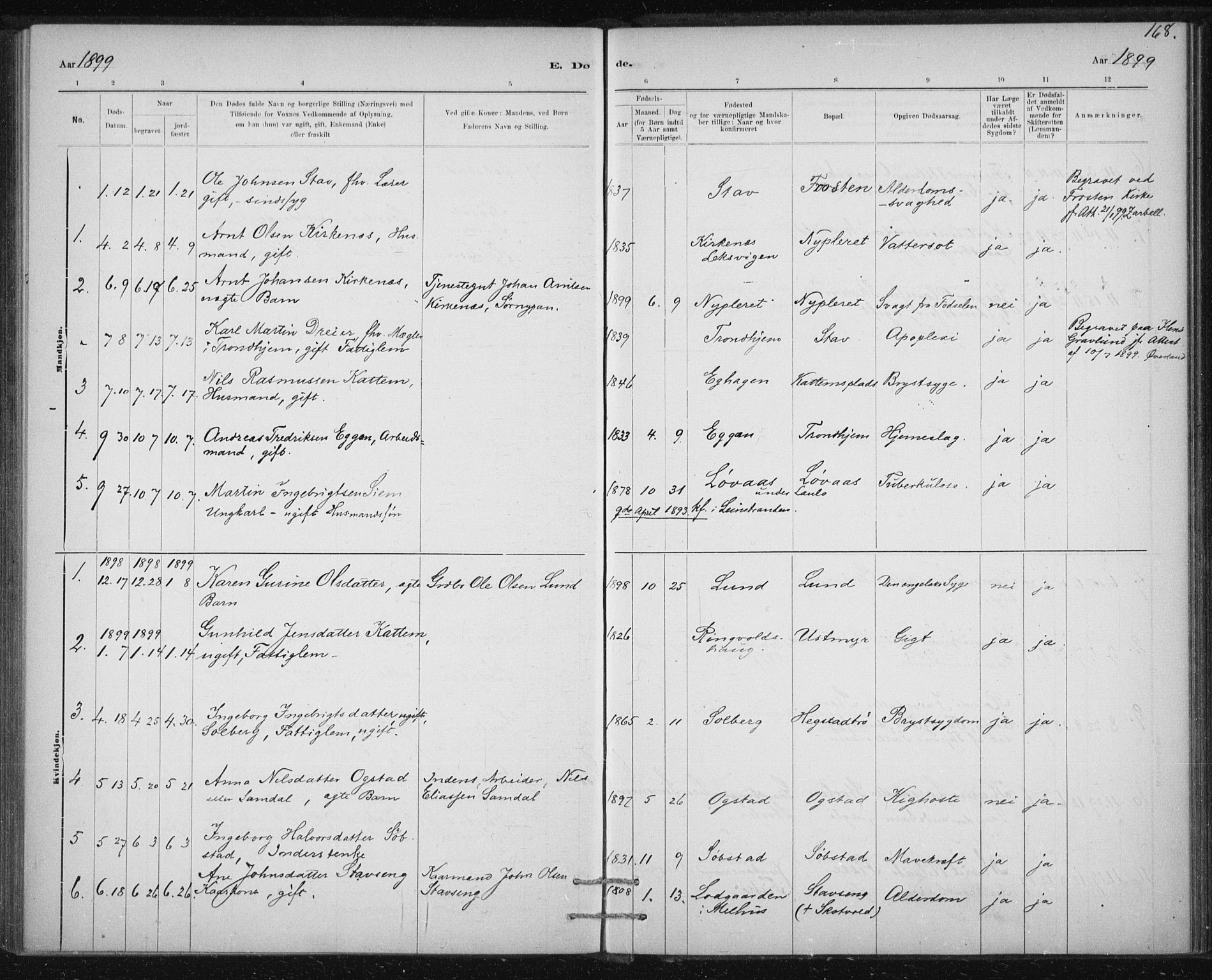 Ministerialprotokoller, klokkerbøker og fødselsregistre - Sør-Trøndelag, SAT/A-1456/613/L0392: Parish register (official) no. 613A01, 1887-1906, p. 168