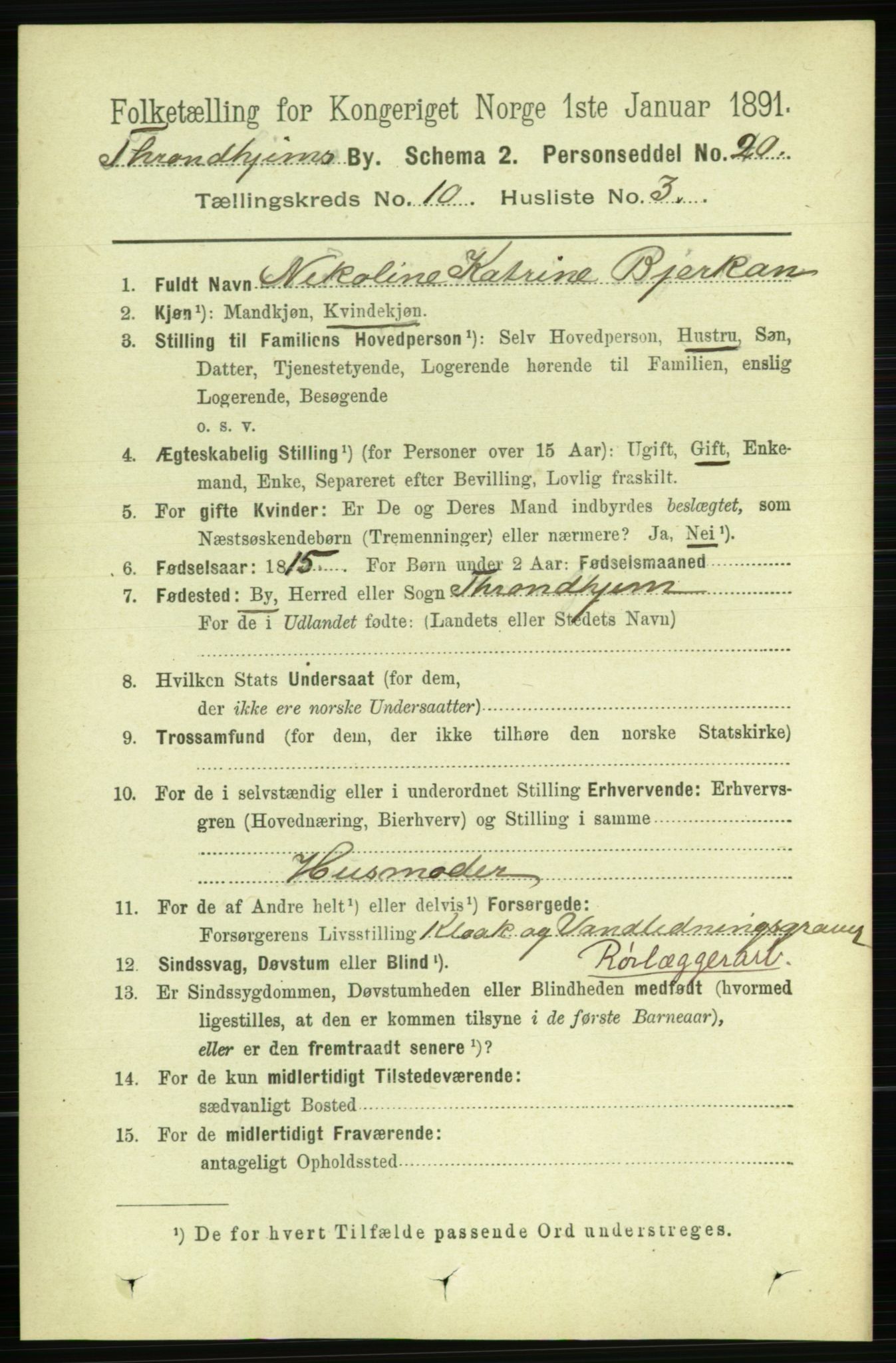 RA, 1891 census for 1601 Trondheim, 1891, p. 8404