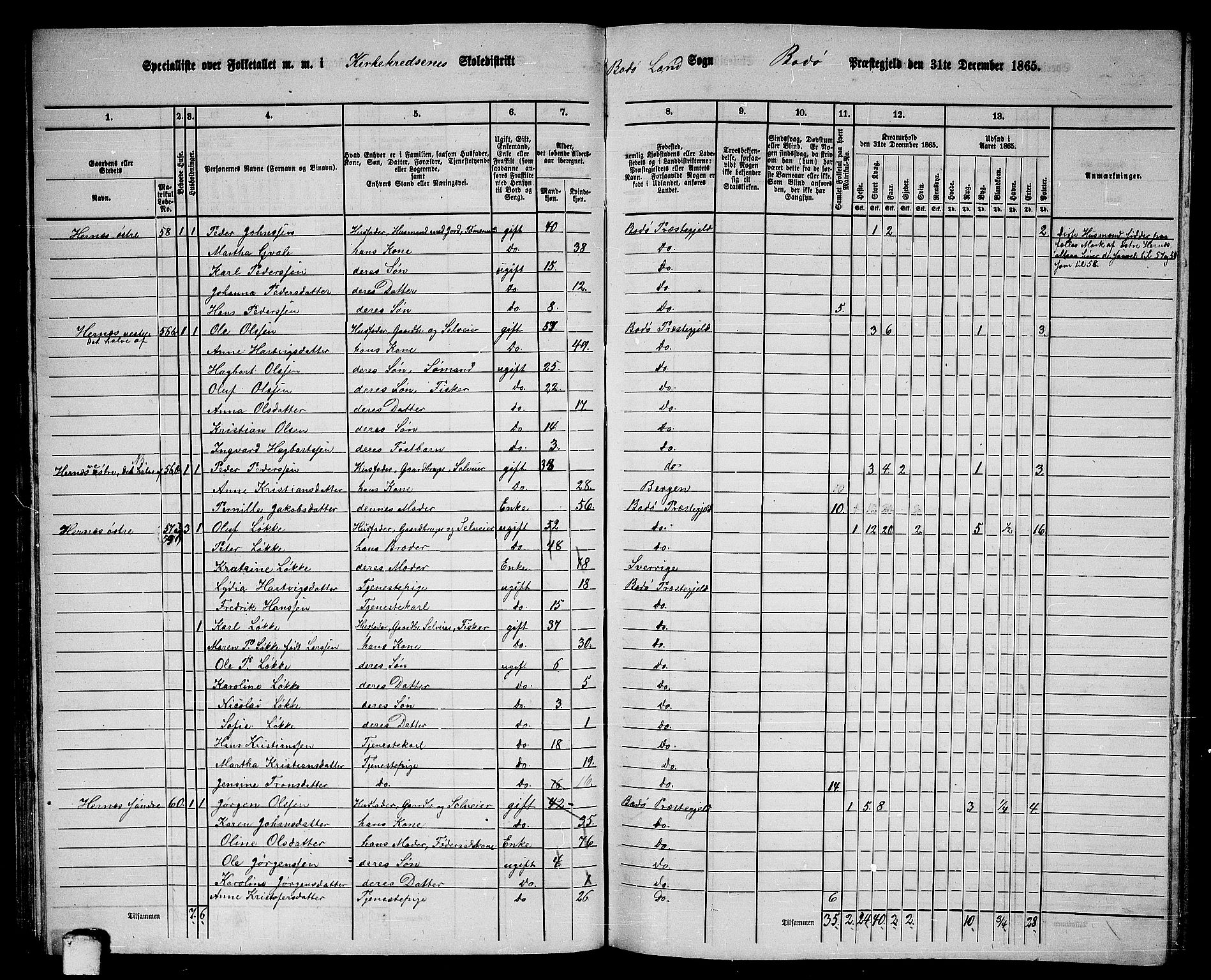 RA, 1865 census for Bodø/Bodø, 1865, p. 38