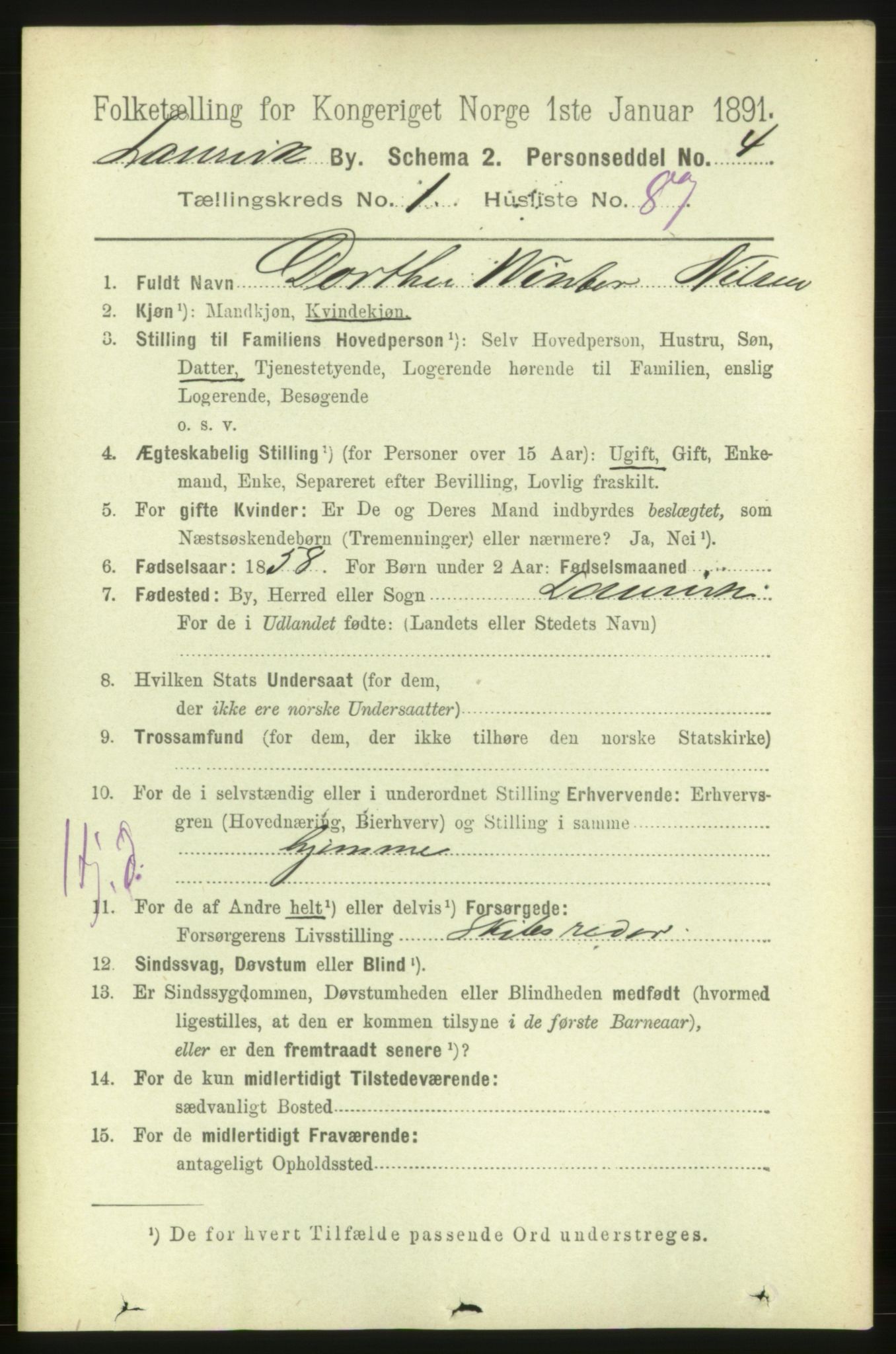 RA, 1891 census for 0707 Larvik, 1891, p. 3325