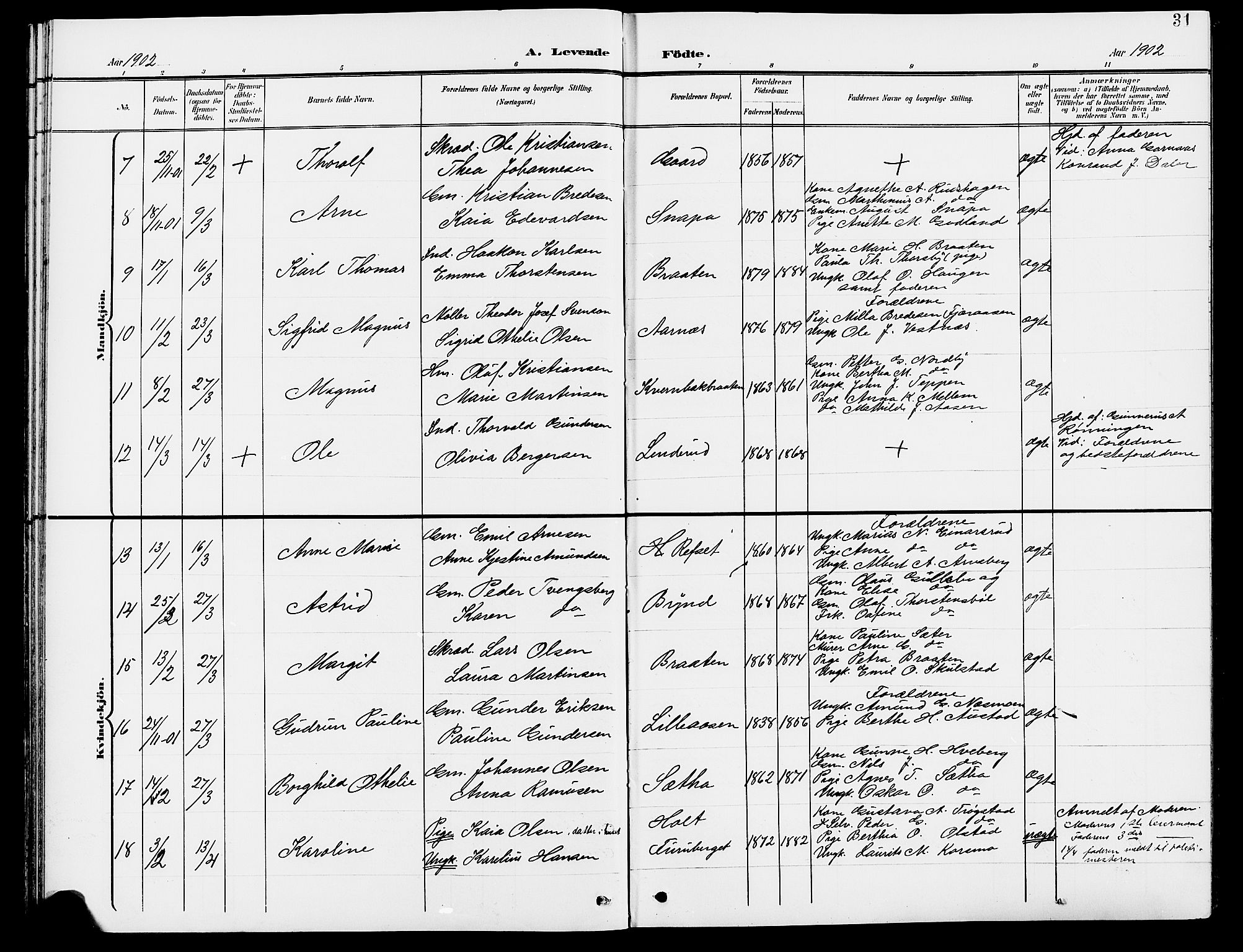 Grue prestekontor, AV/SAH-PREST-036/H/Ha/Hab/L0005: Parish register (copy) no. 5, 1900-1909, p. 31