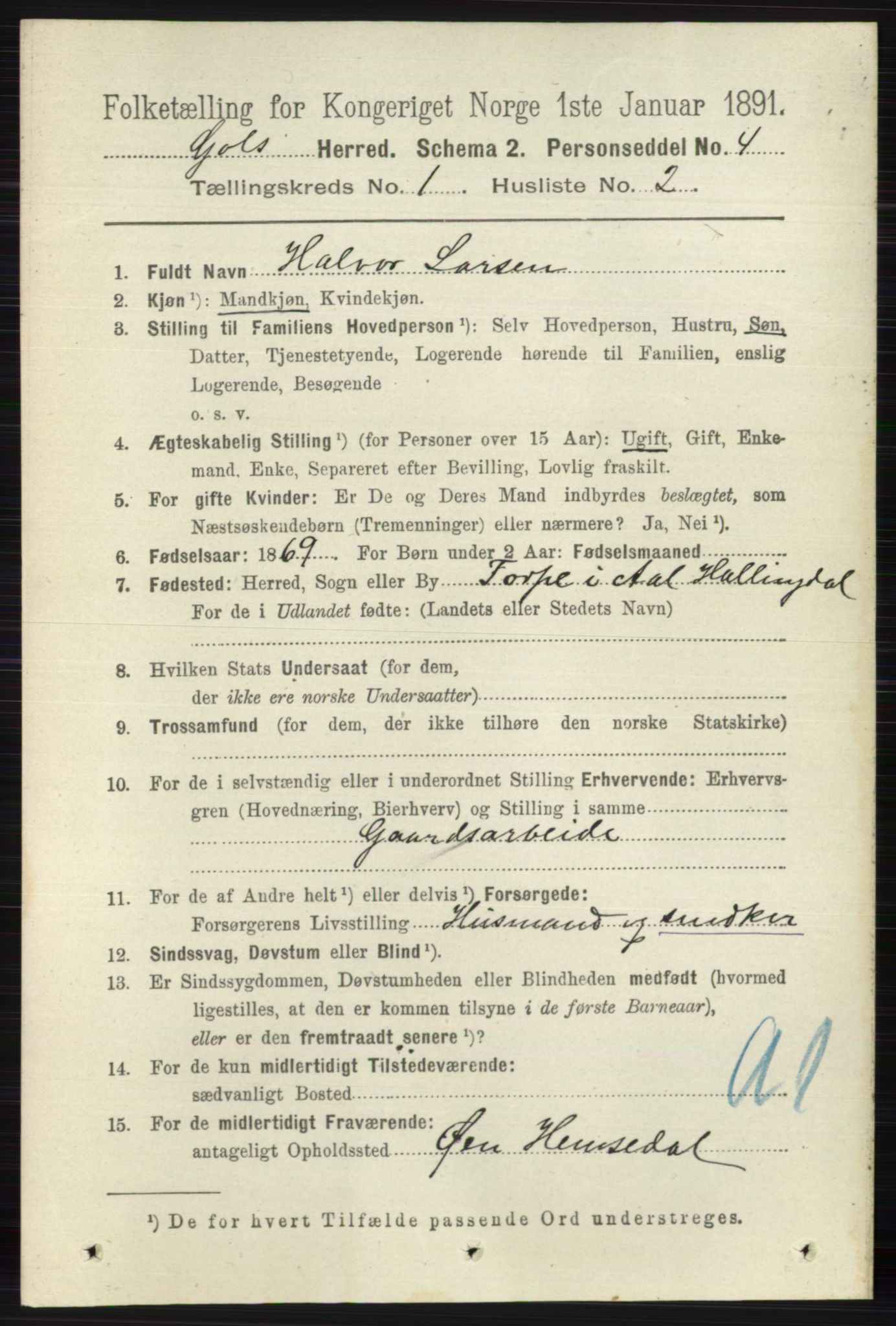 RA, 1891 census for 0617 Gol og Hemsedal, 1891, p. 133