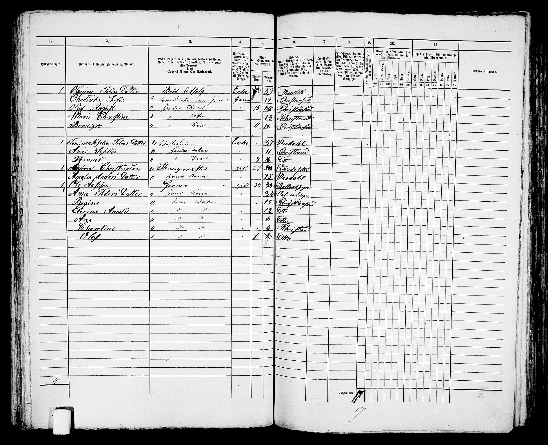 RA, 1865 census for Kristiansand, 1865, p. 732