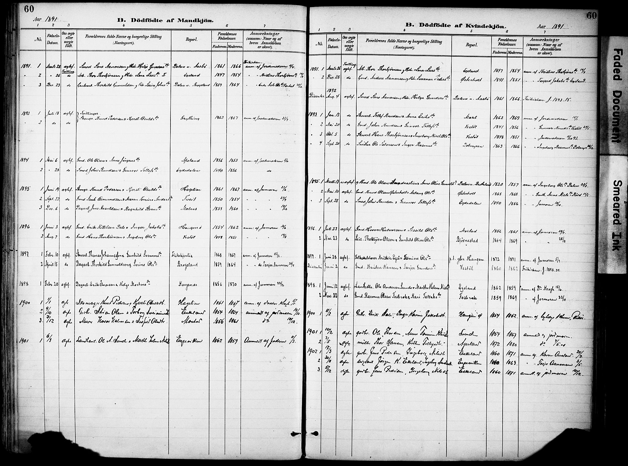 Gjerstad sokneprestkontor, SAK/1111-0014/F/Fa/Faa/L0010: Parish register (official) no. A 10, 1891-1902, p. 60