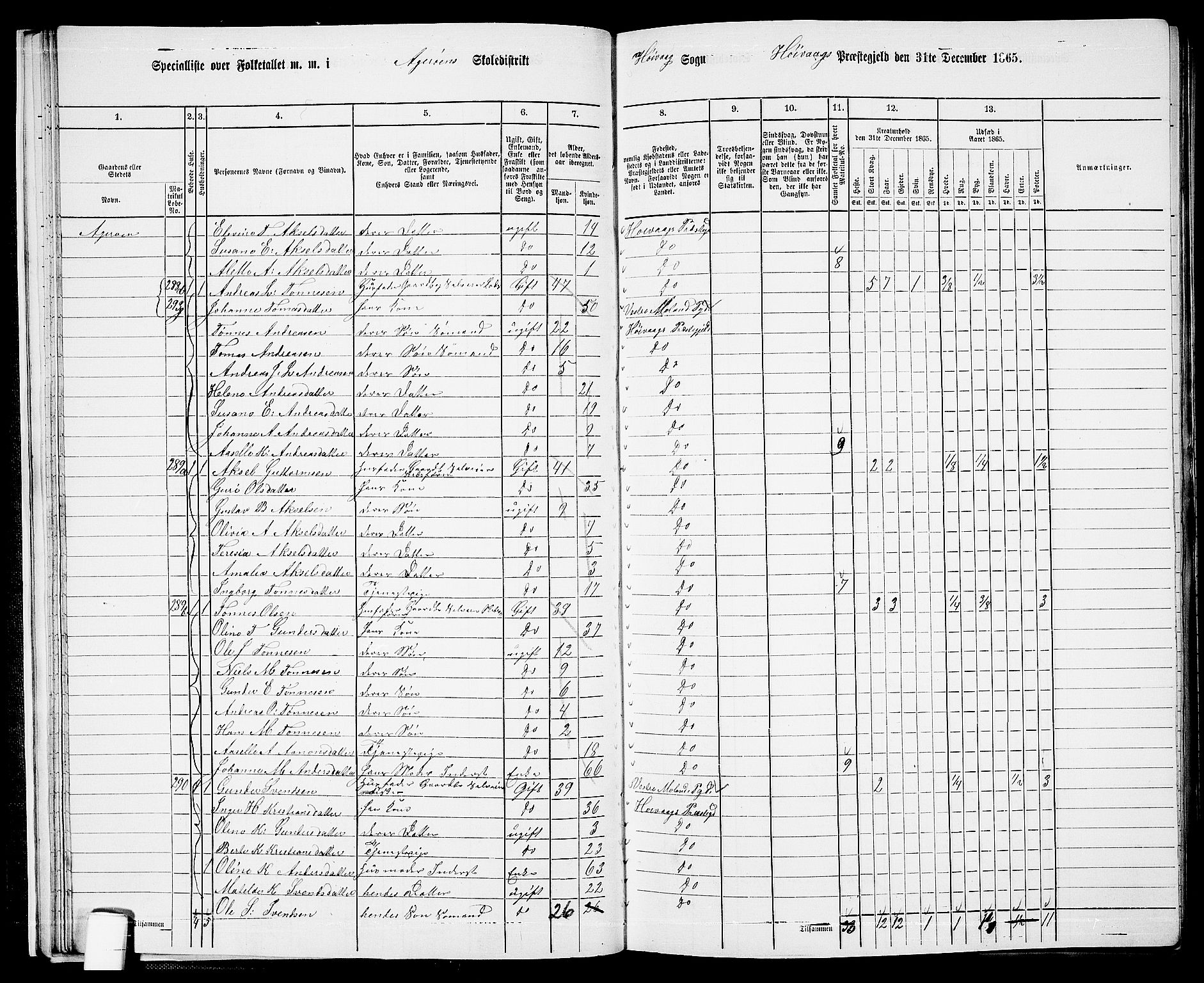 RA, 1865 census for Høvåg, 1865, p. 30