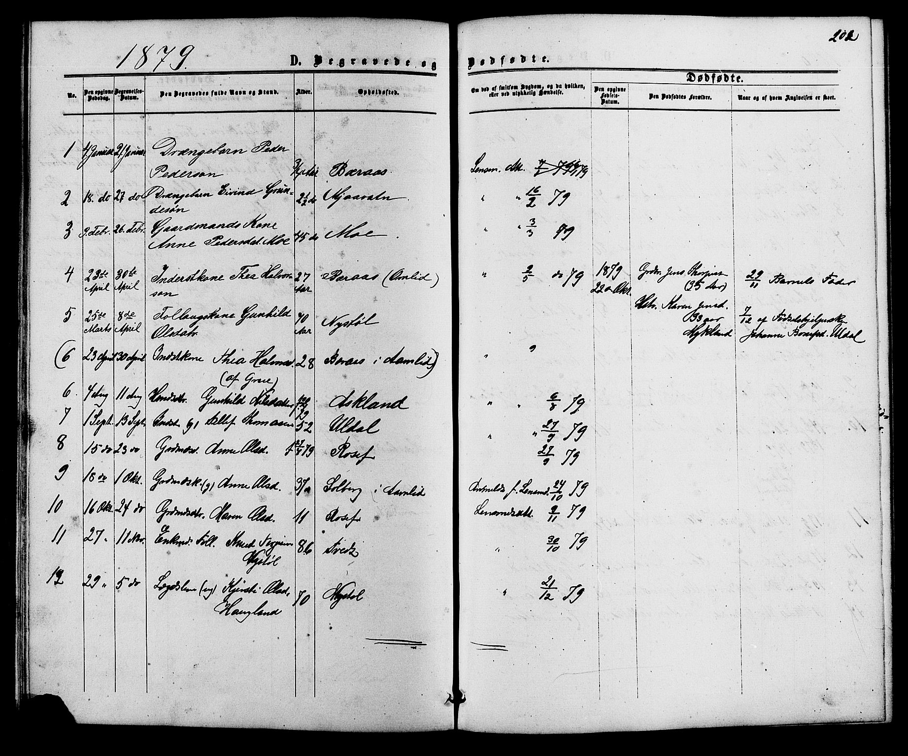 Herefoss sokneprestkontor, AV/SAK-1111-0019/F/Fb/Fbc/L0002: Parish register (copy) no. B 2, 1867-1886, p. 202