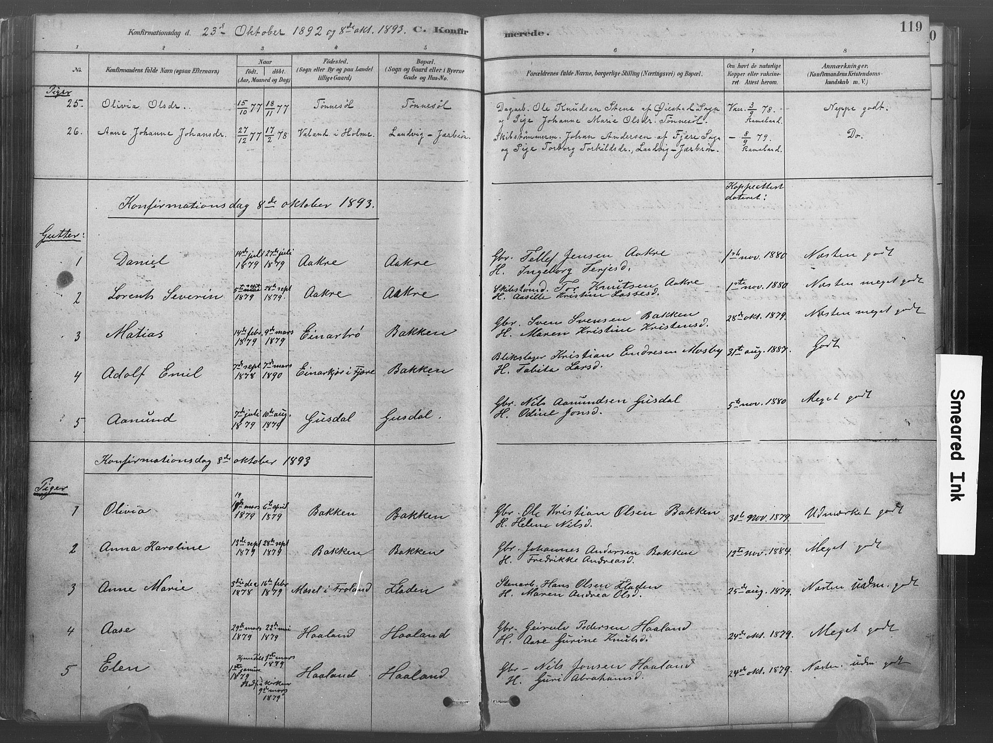 Hommedal sokneprestkontor, SAK/1111-0023/F/Fa/Fab/L0006: Parish register (official) no. A 6, 1878-1897, p. 119