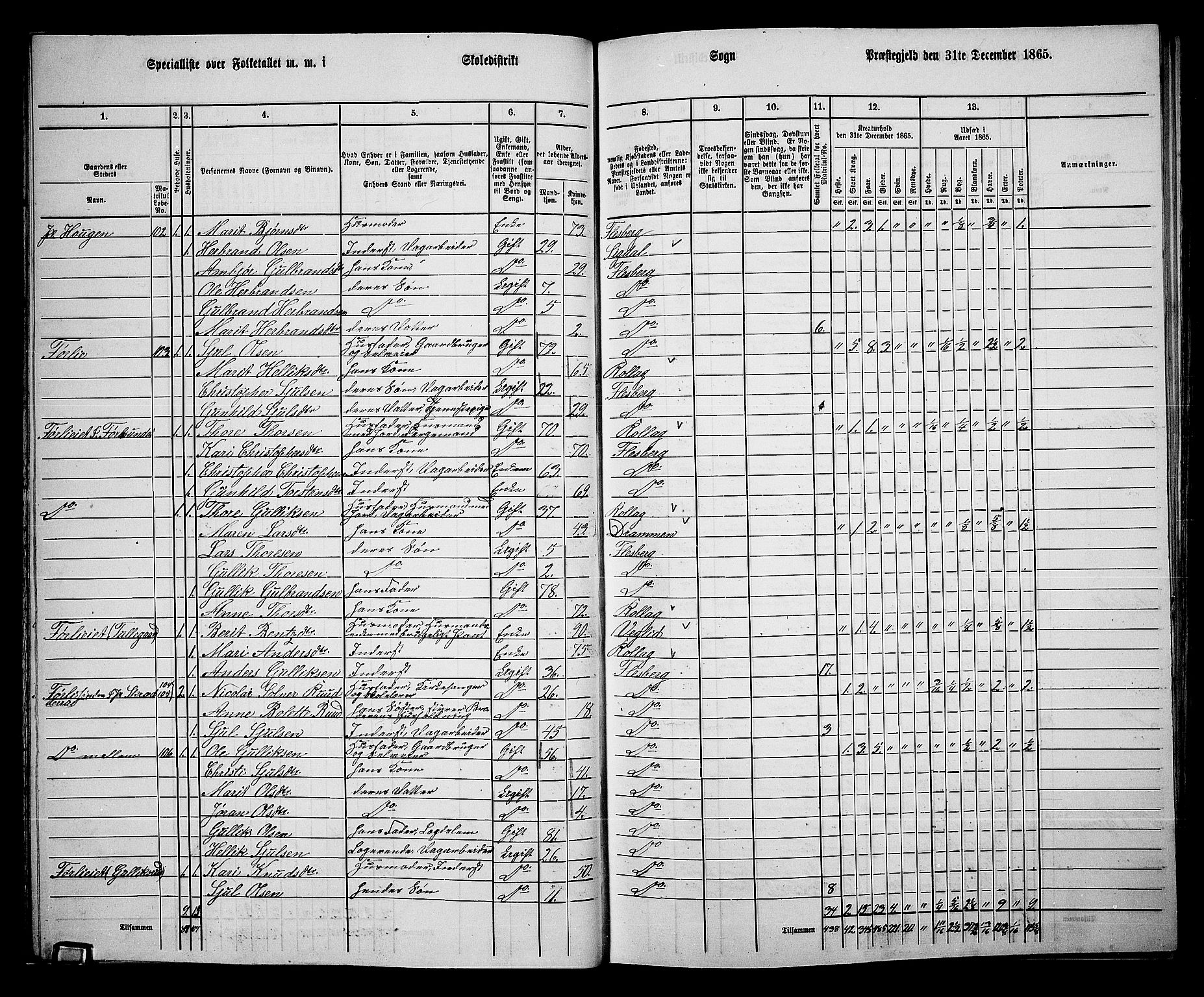 RA, 1865 census for Flesberg, 1865, p. 28