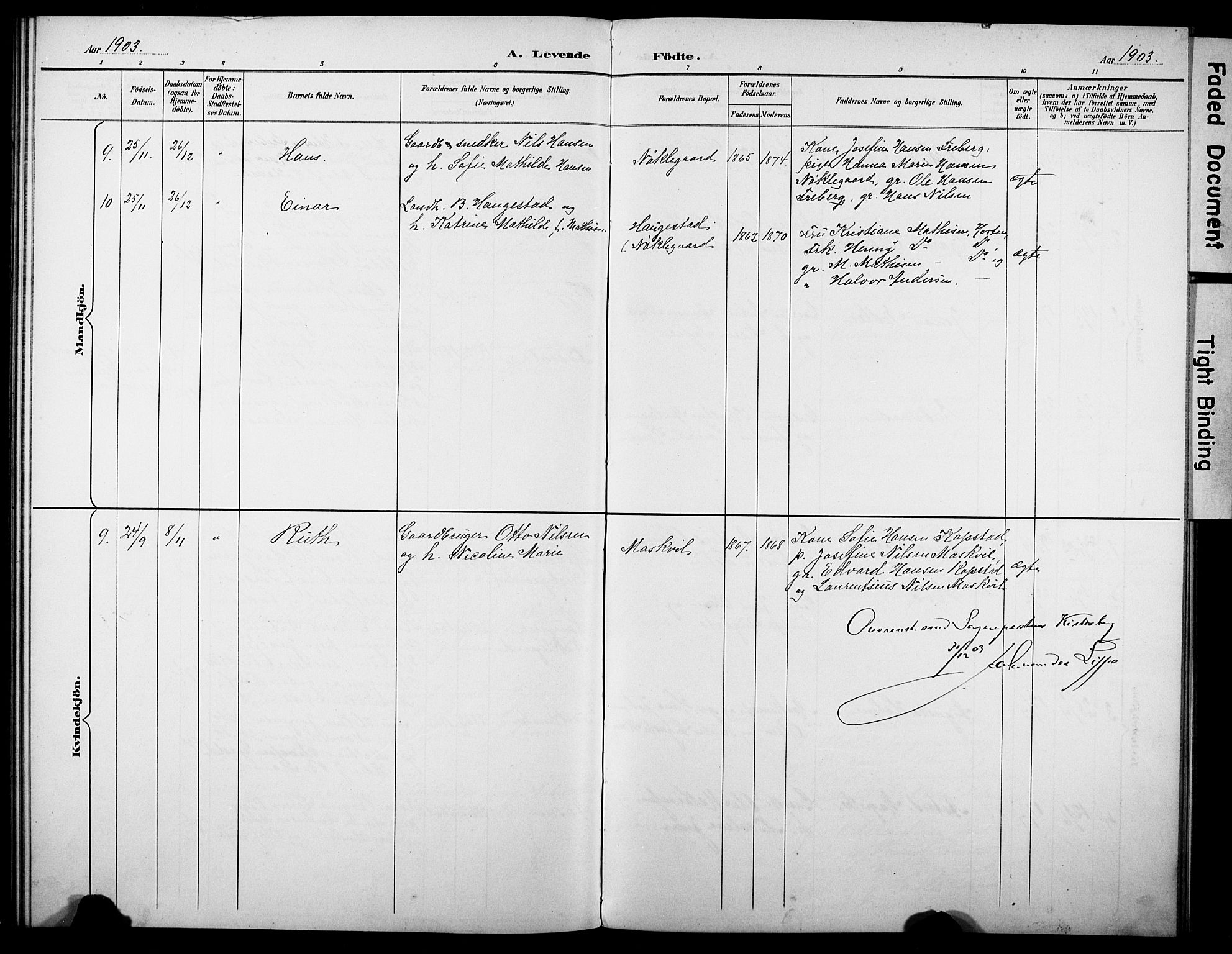 Borre kirkebøker, AV/SAKO-A-338/G/Gb/L0003: Parish register (copy) no. II 3, 1893-1905