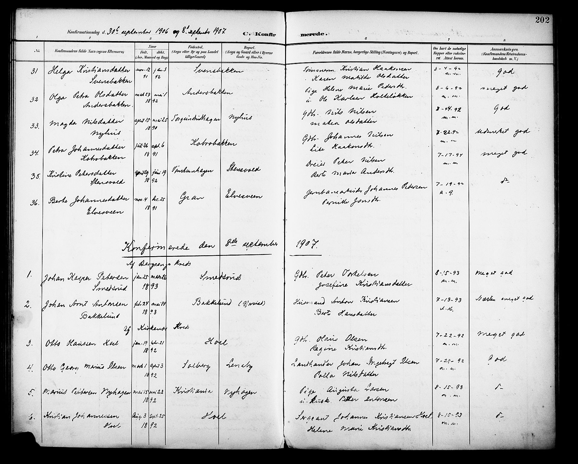 Vestre Toten prestekontor, SAH/PREST-108/H/Ha/Haa/L0013: Parish register (official) no. 13, 1895-1911, p. 202